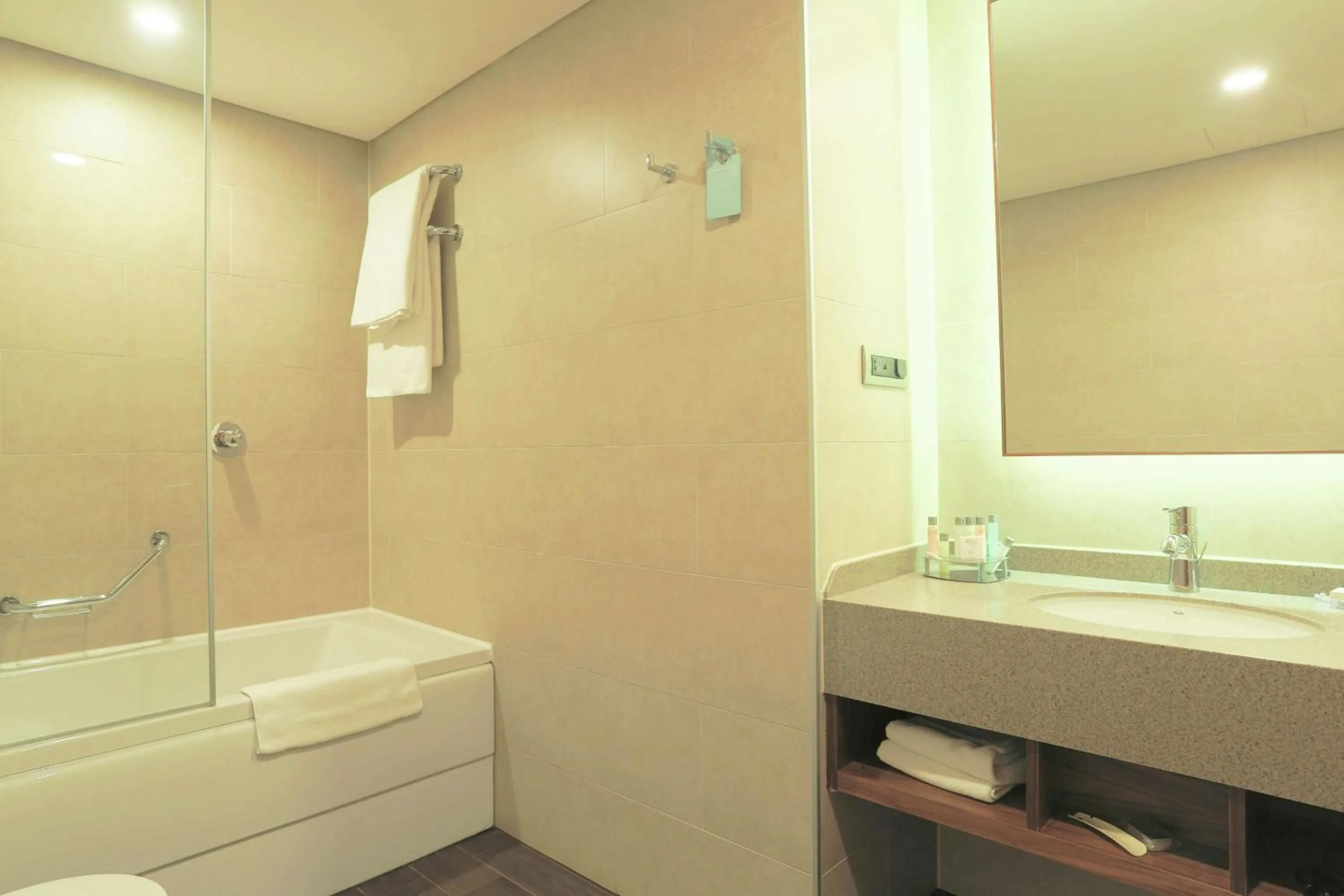 Bathroom in Hilton Garden Inn Eskisehir