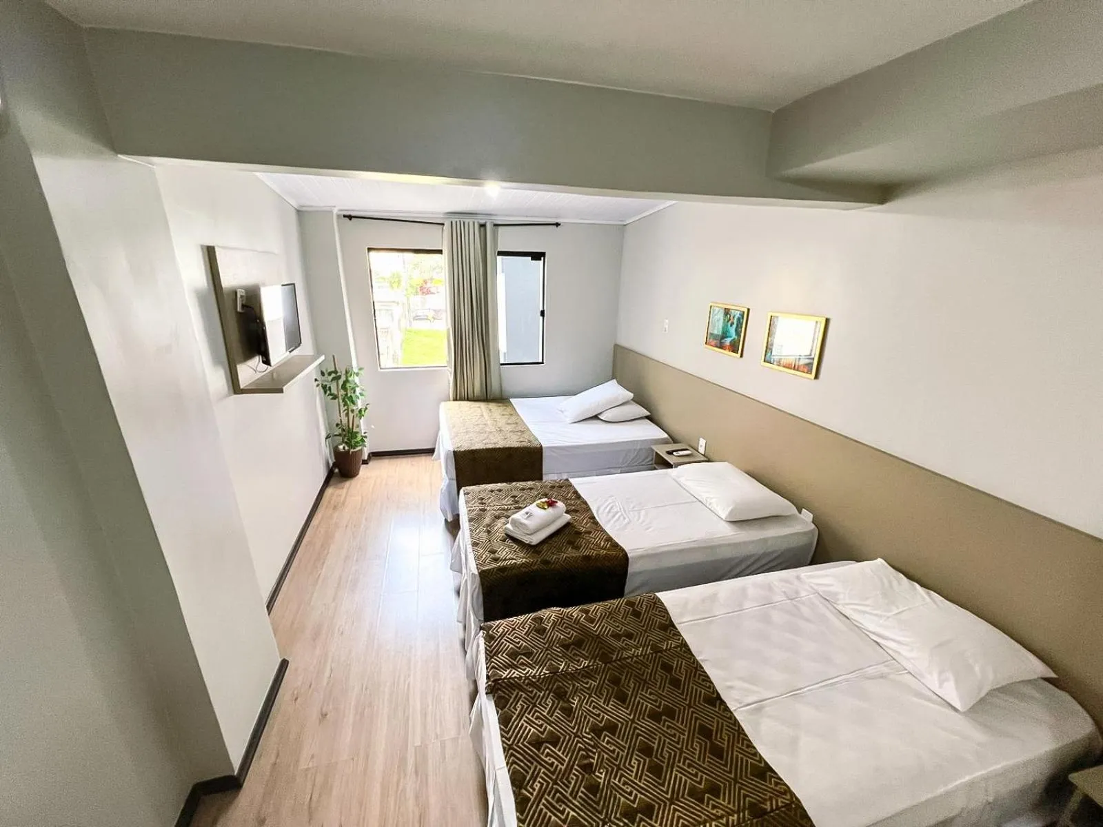 Bed in Hotel Zata - Econômico