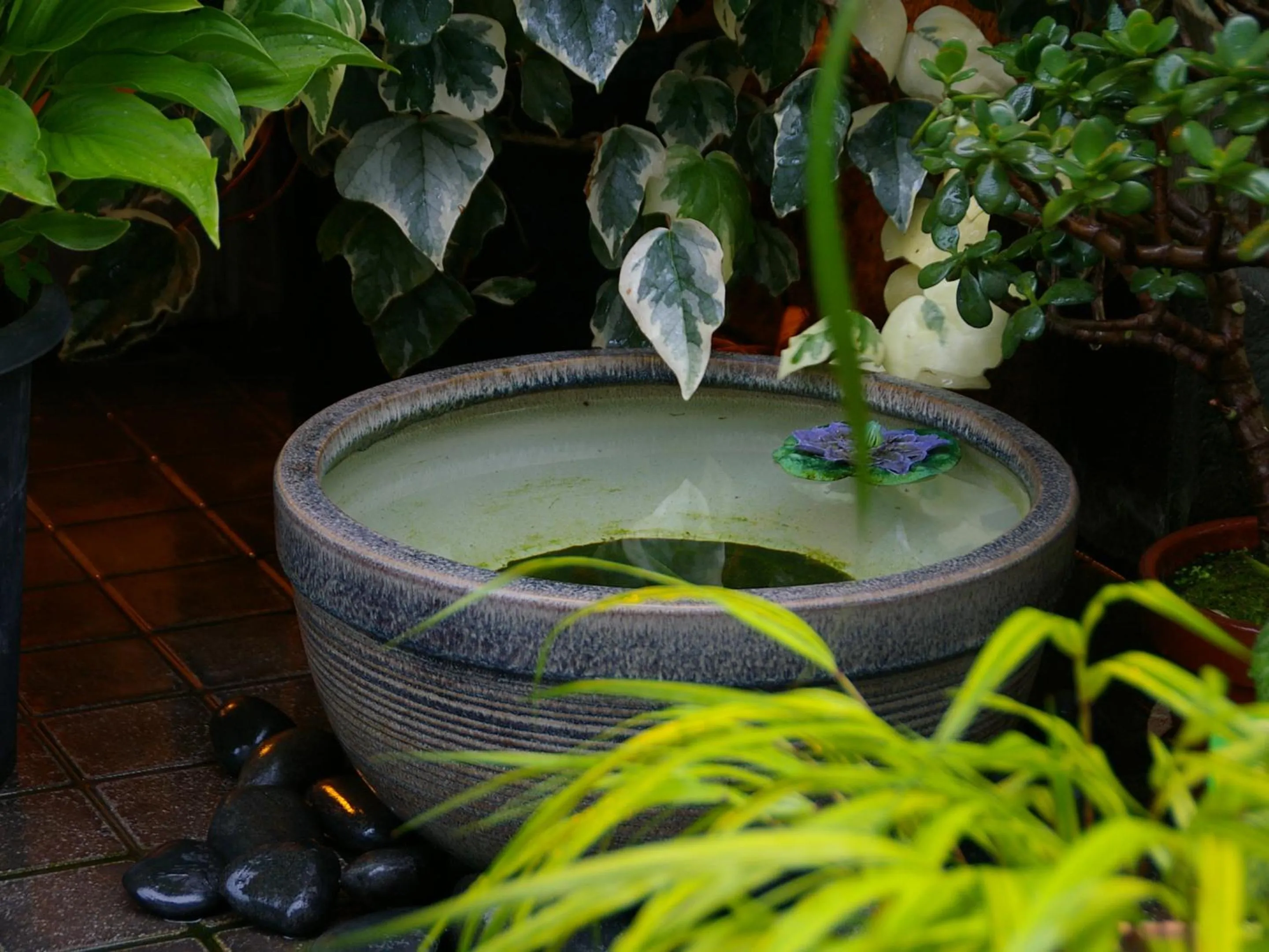 Facade/entrance in Shiroyama Ryokan