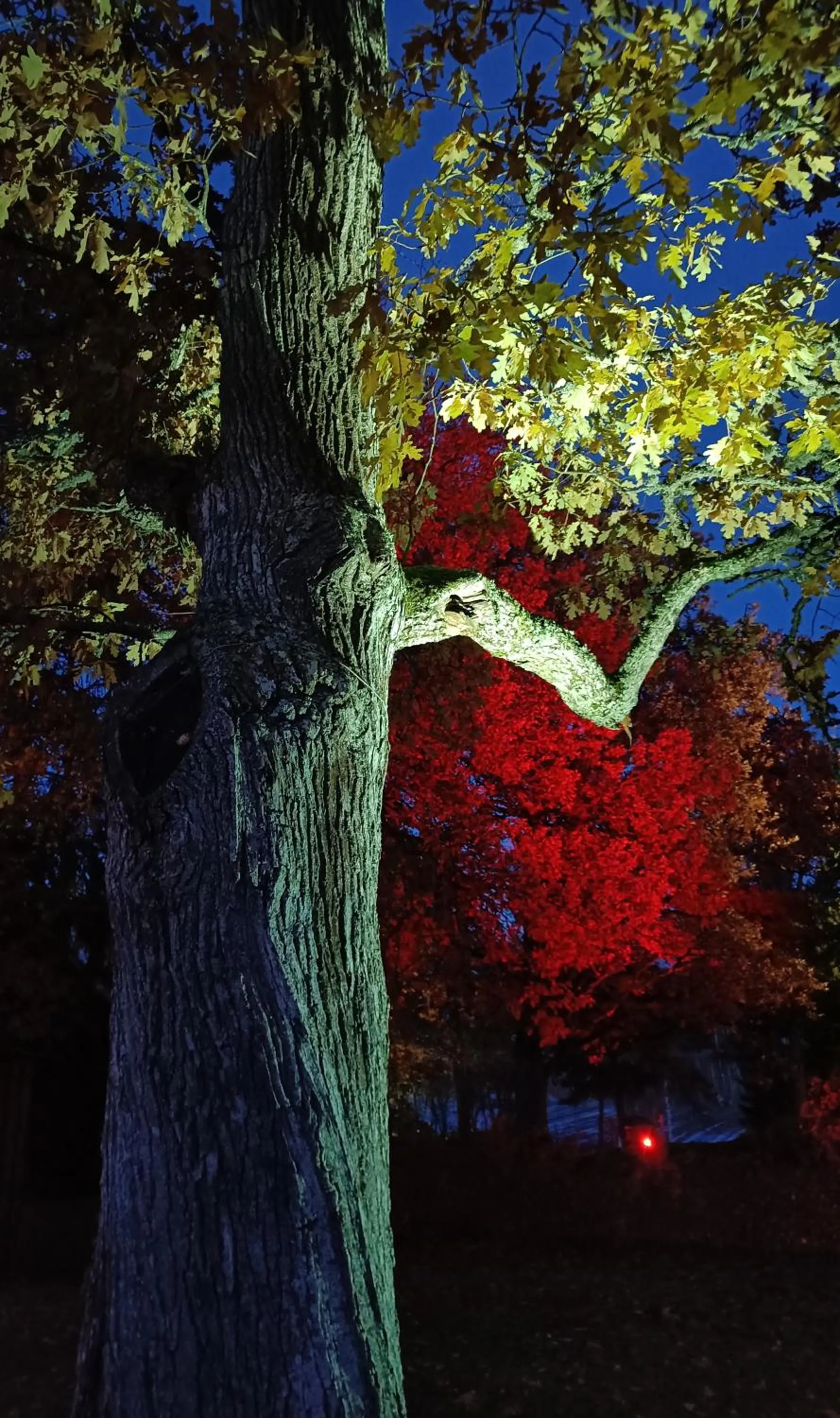 Natural landscape in Joensuun Tilan Päärakennus