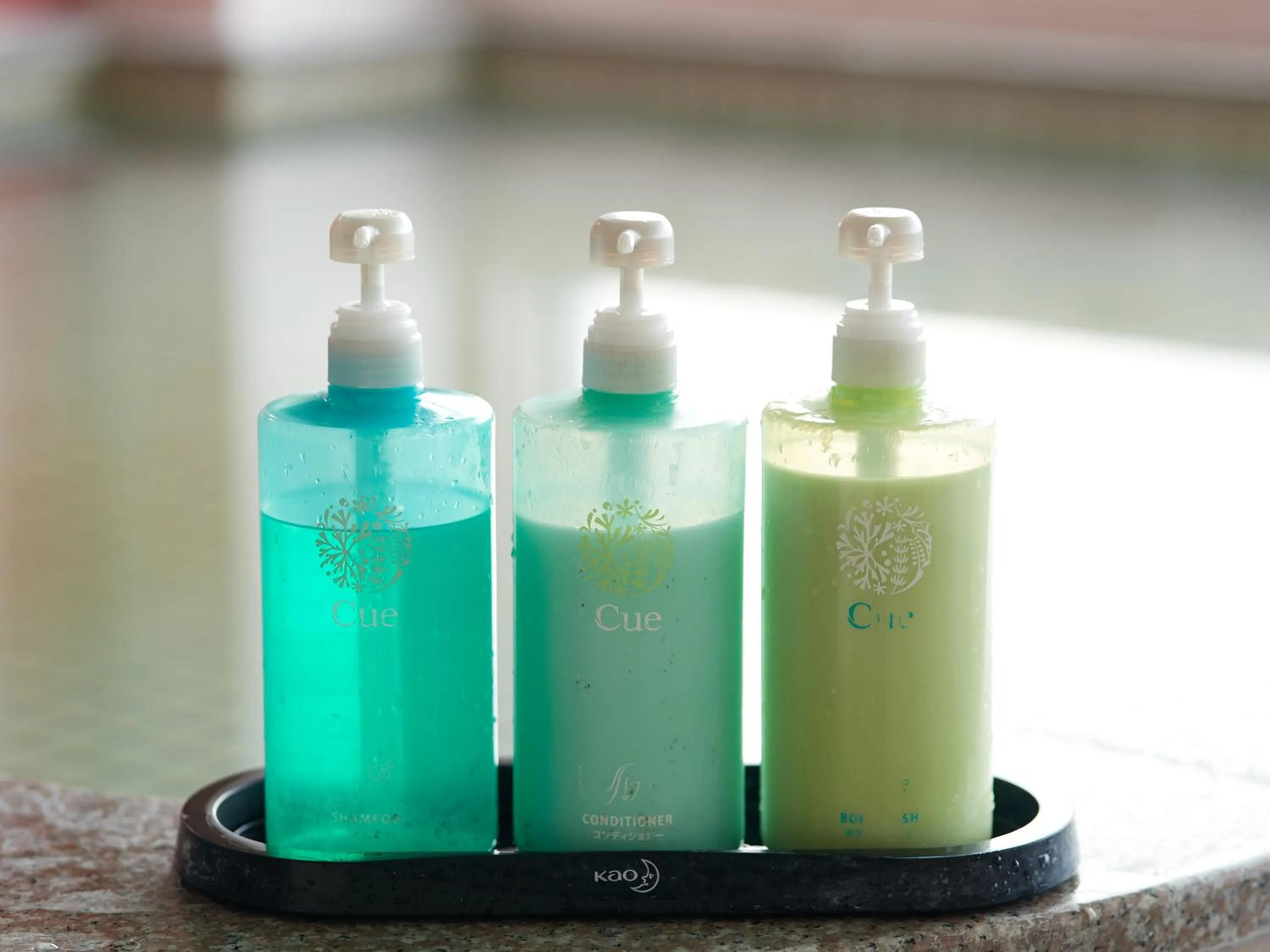 Public Bath in Gamagori Hotel