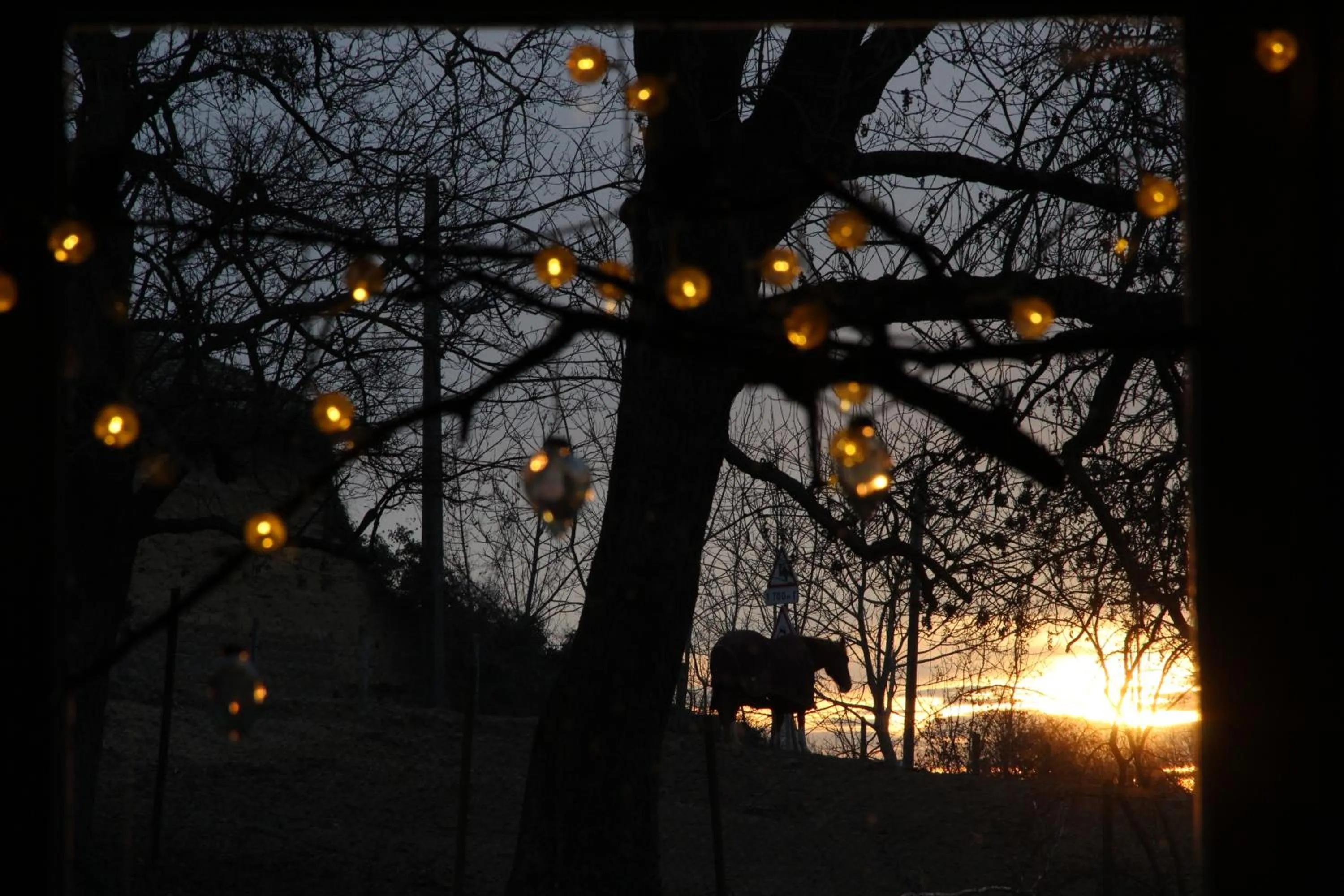 View (from property/room) in Le Vallon de Saint André