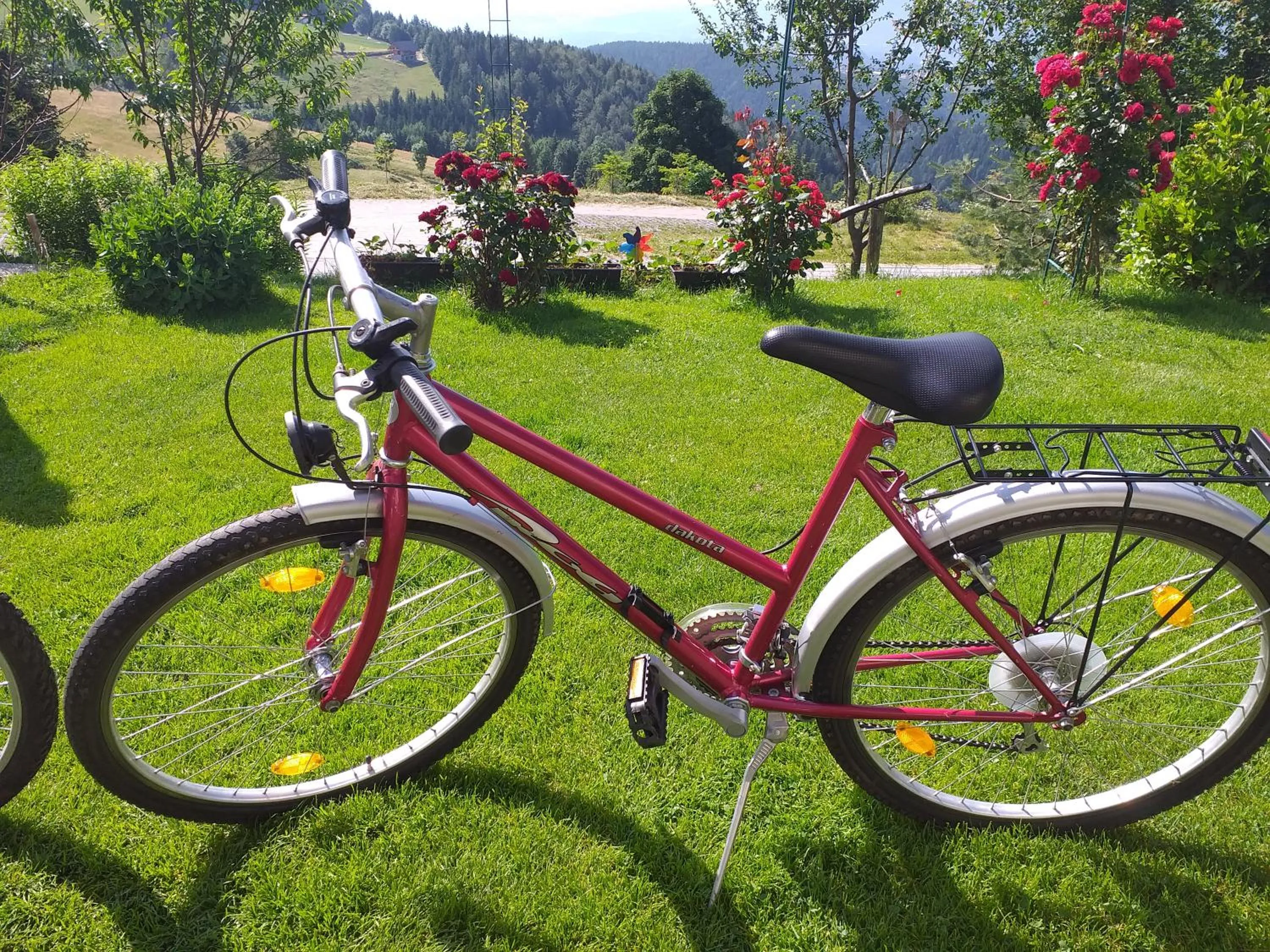Cycling in Apartment Panorama