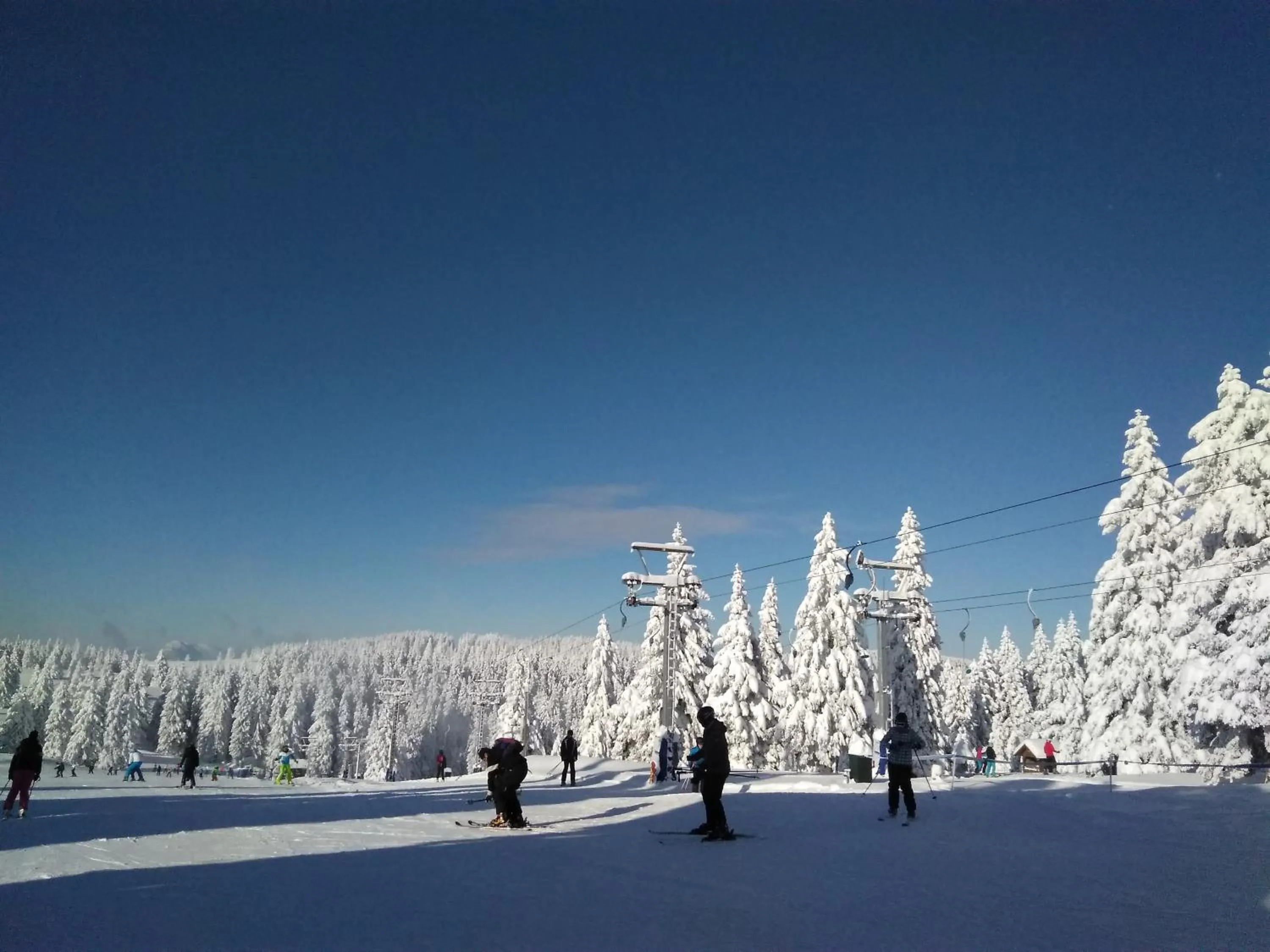 Nearby landmark in Apartment Panorama