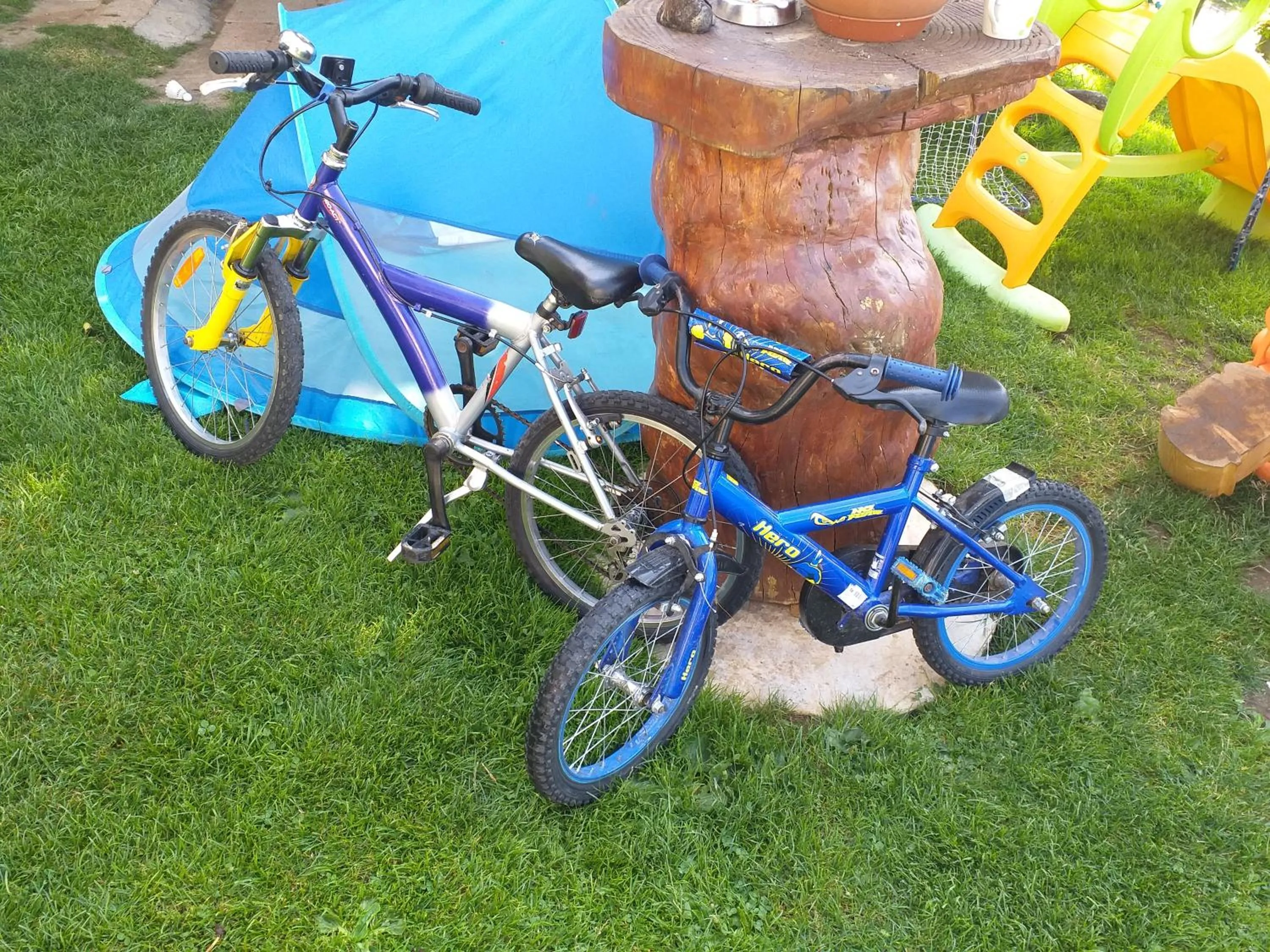 Cycling in Apartment Panorama