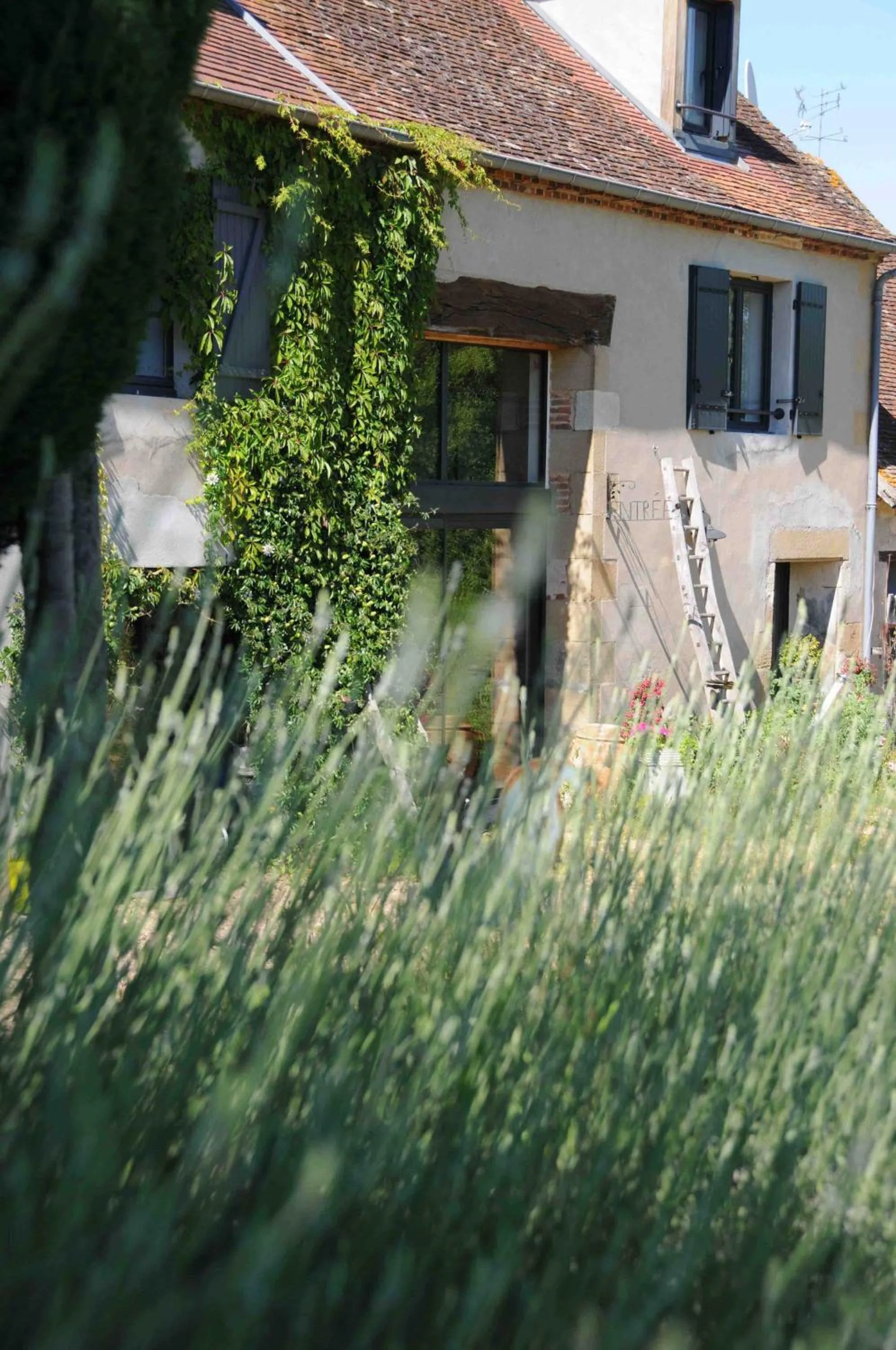 Facade/entrance in Le champ Bagnolet