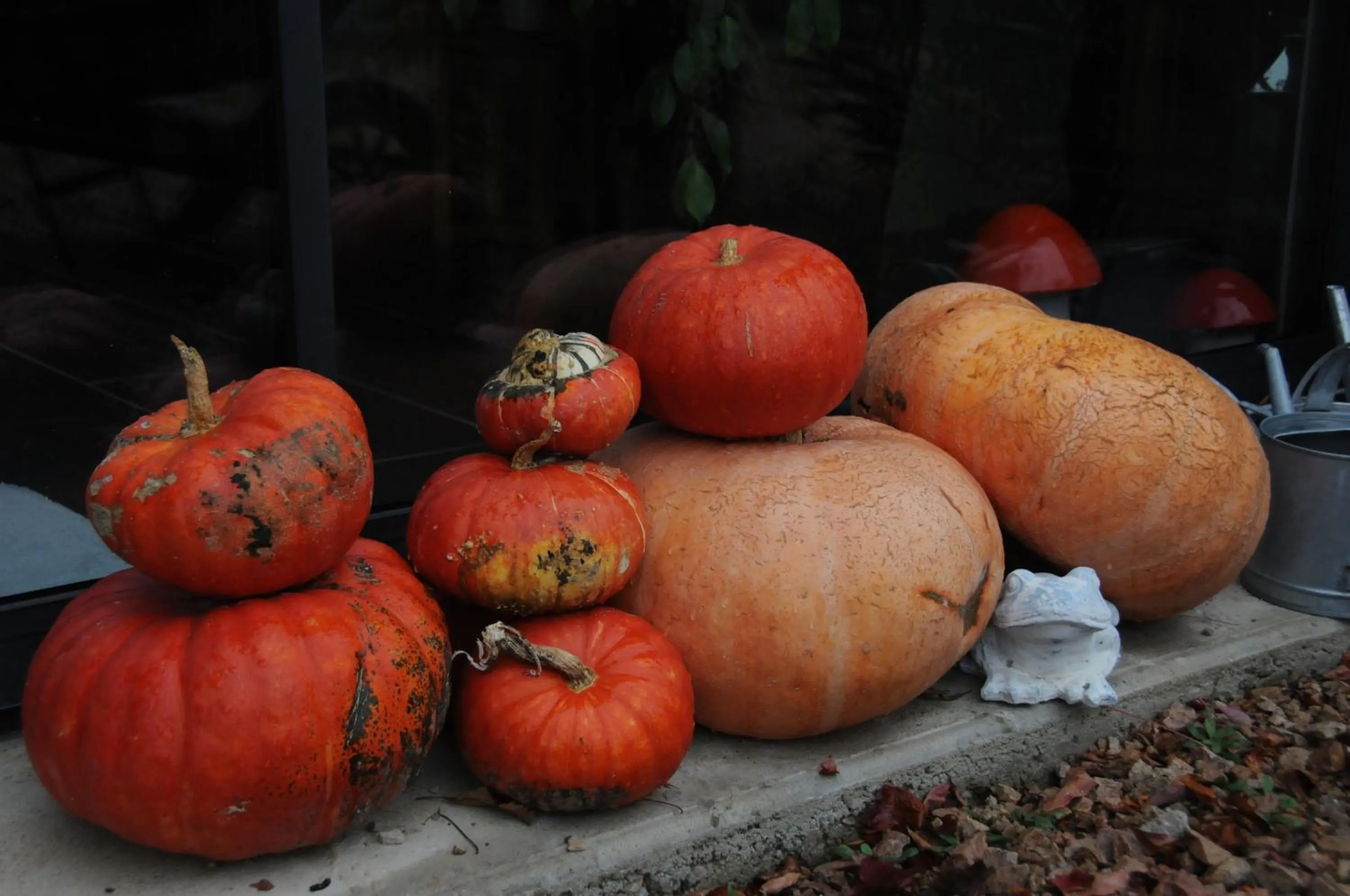 Autumn in Le champ Bagnolet