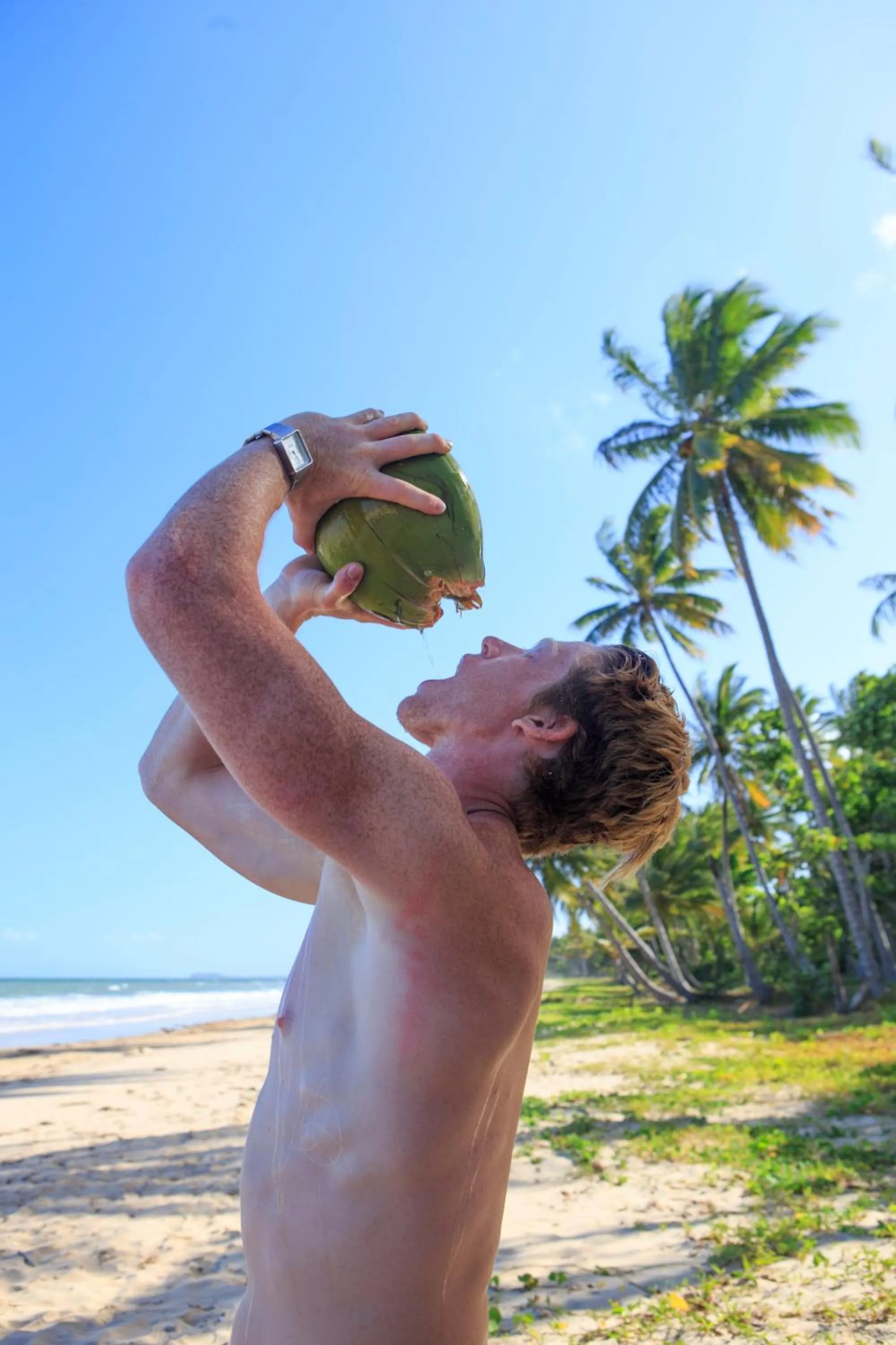 Natural landscape in Scotty's Mission Beach