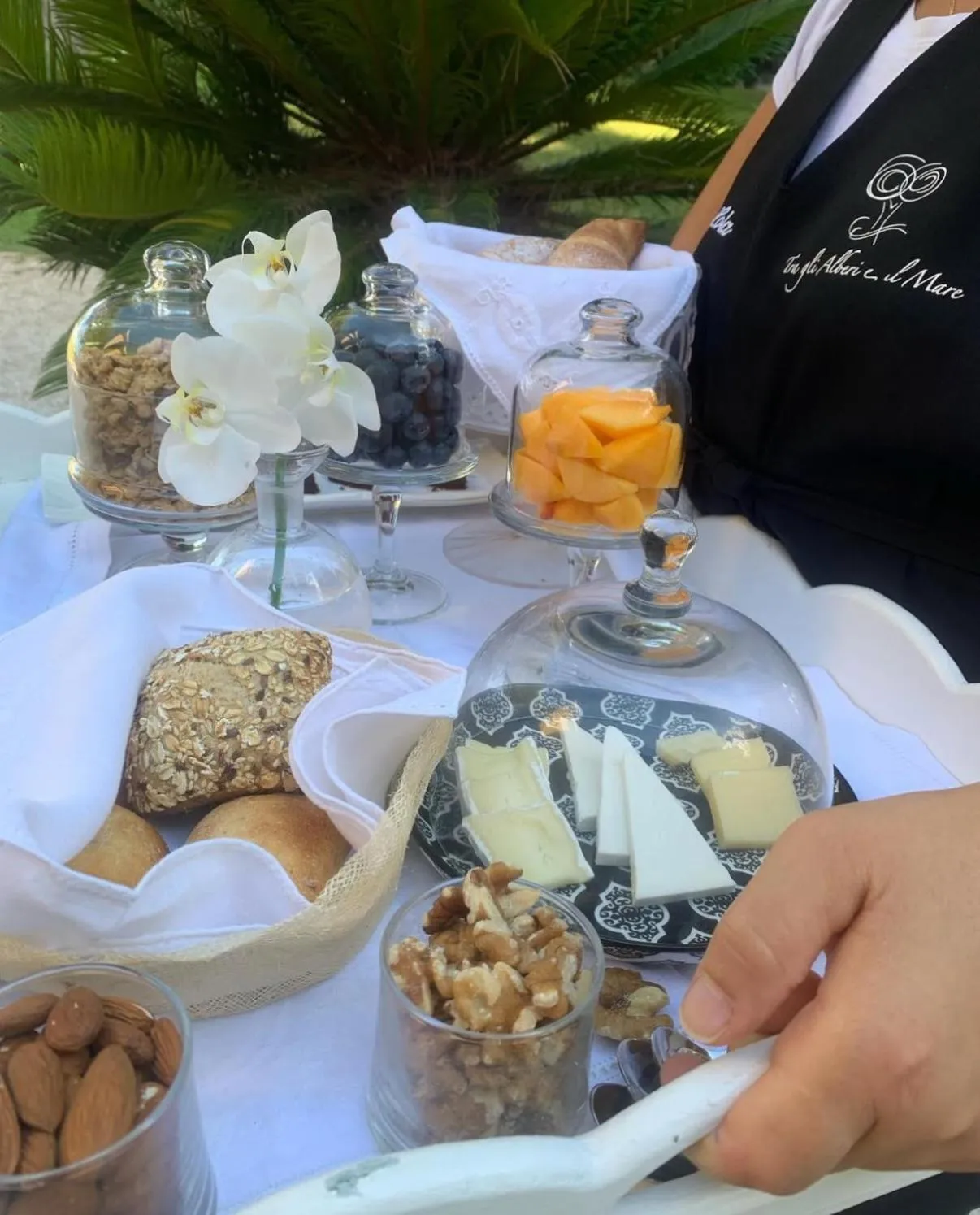 Food and drinks in Tra gli Alberi e il Mare