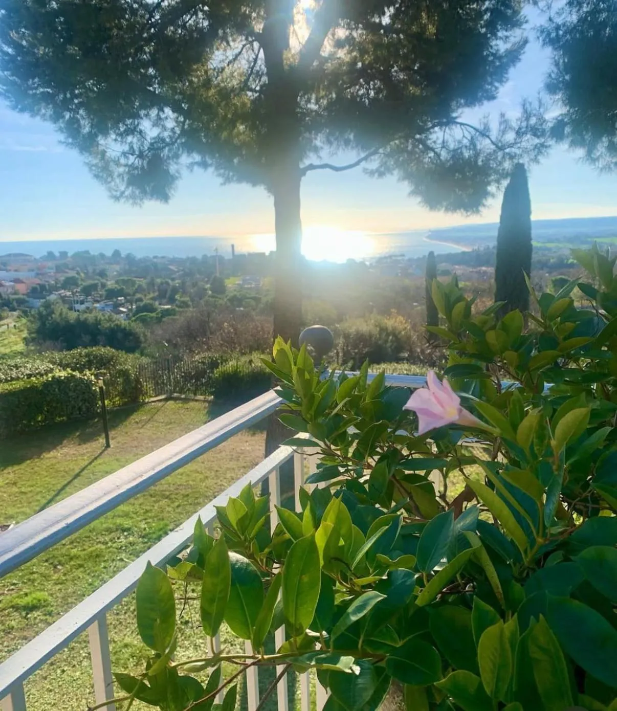 Balcony/Terrace in Tra gli Alberi e il Mare