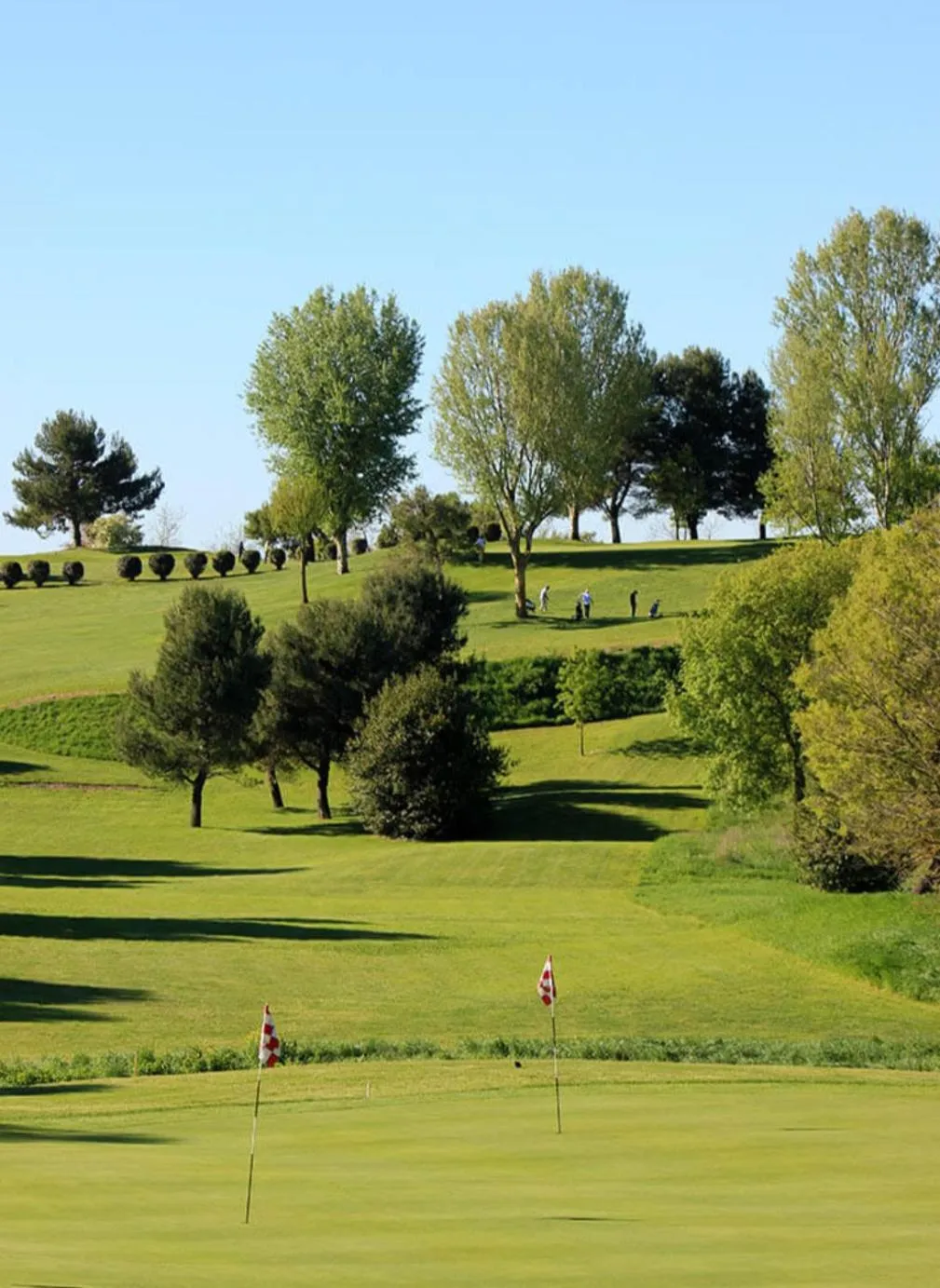 Golfcourse in Tra gli Alberi e il Mare