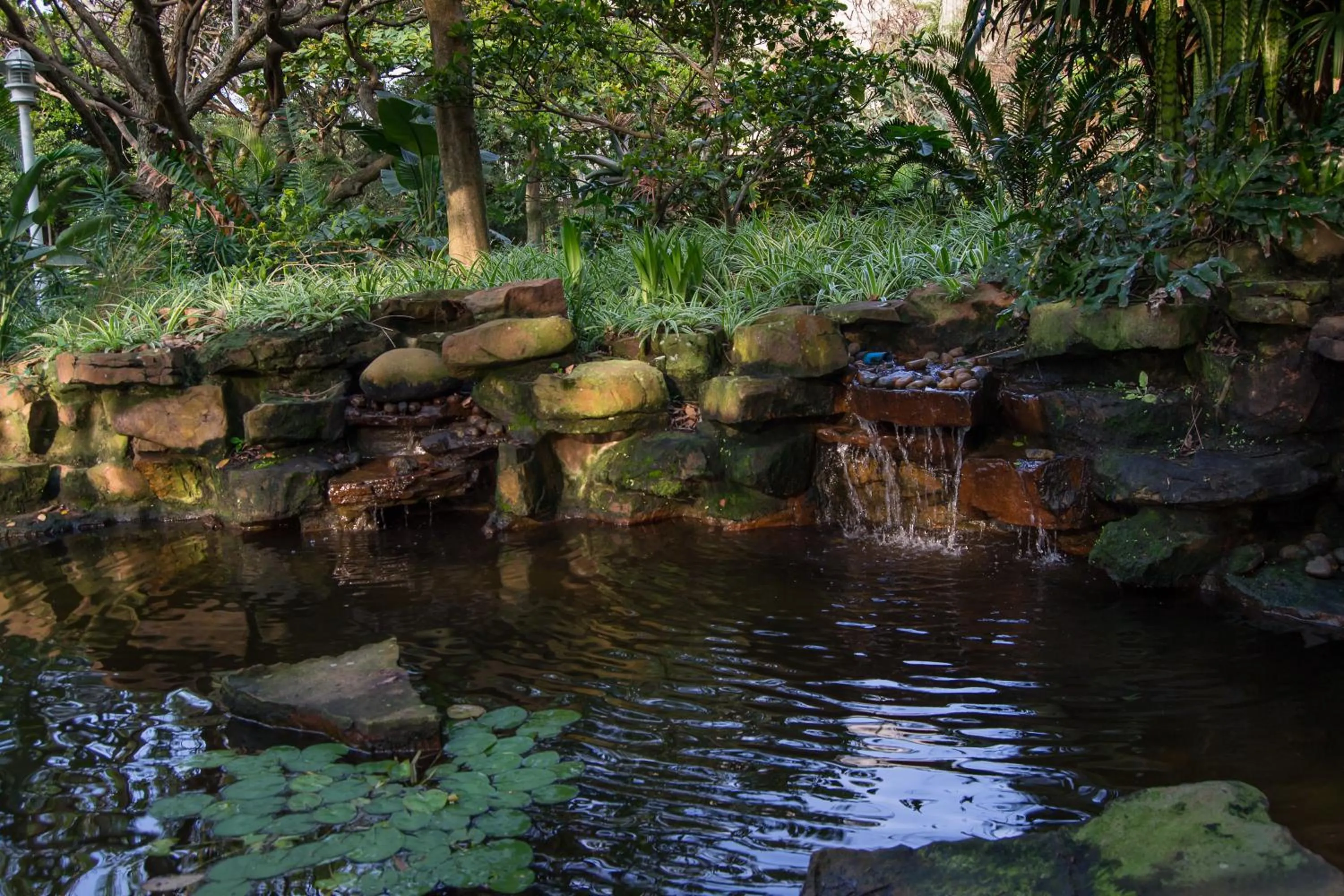 Garden in 302 Oyster Schelles - by Stay in Umhlanga