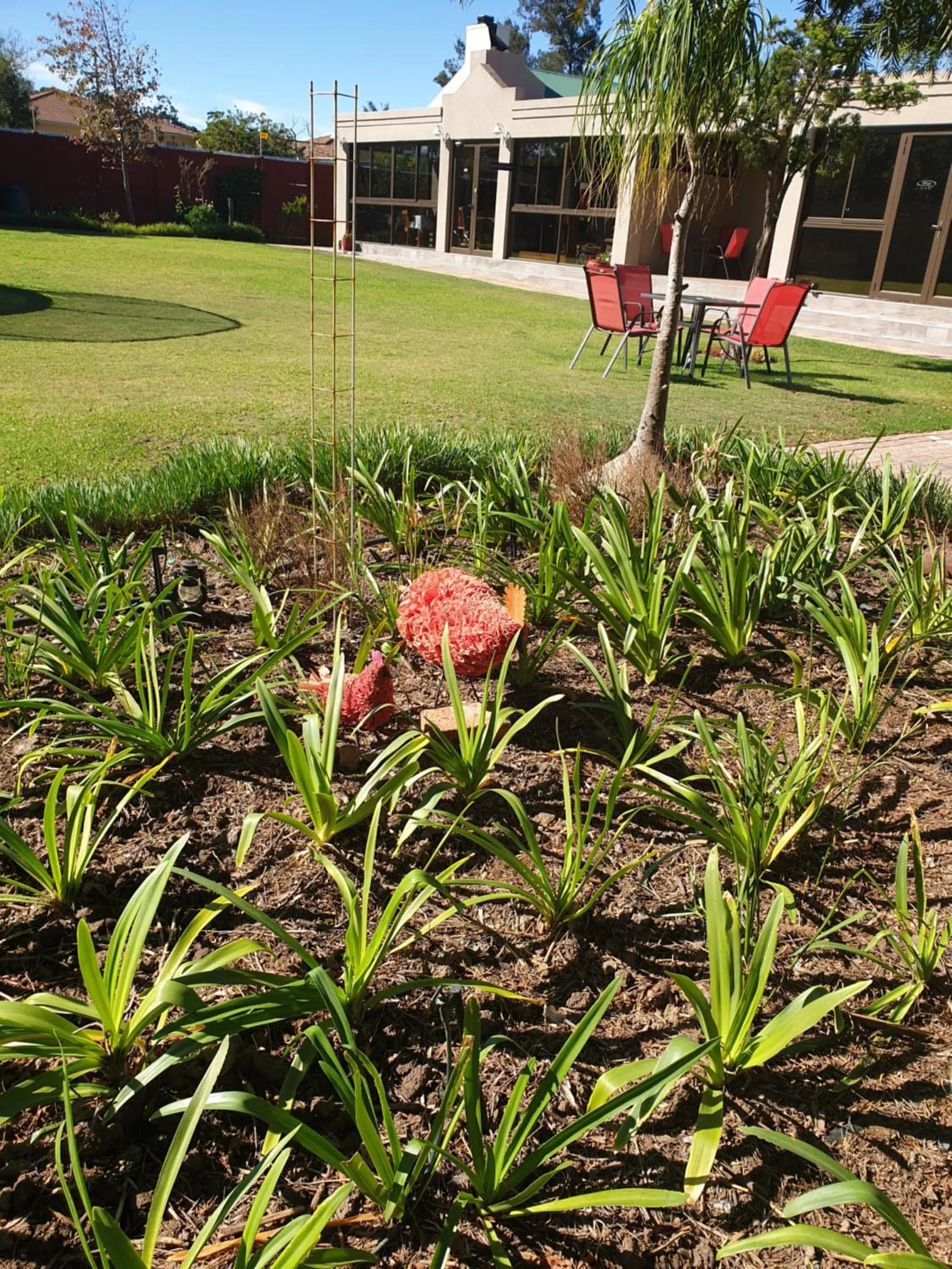Garden in Dilisca Guesthouse
