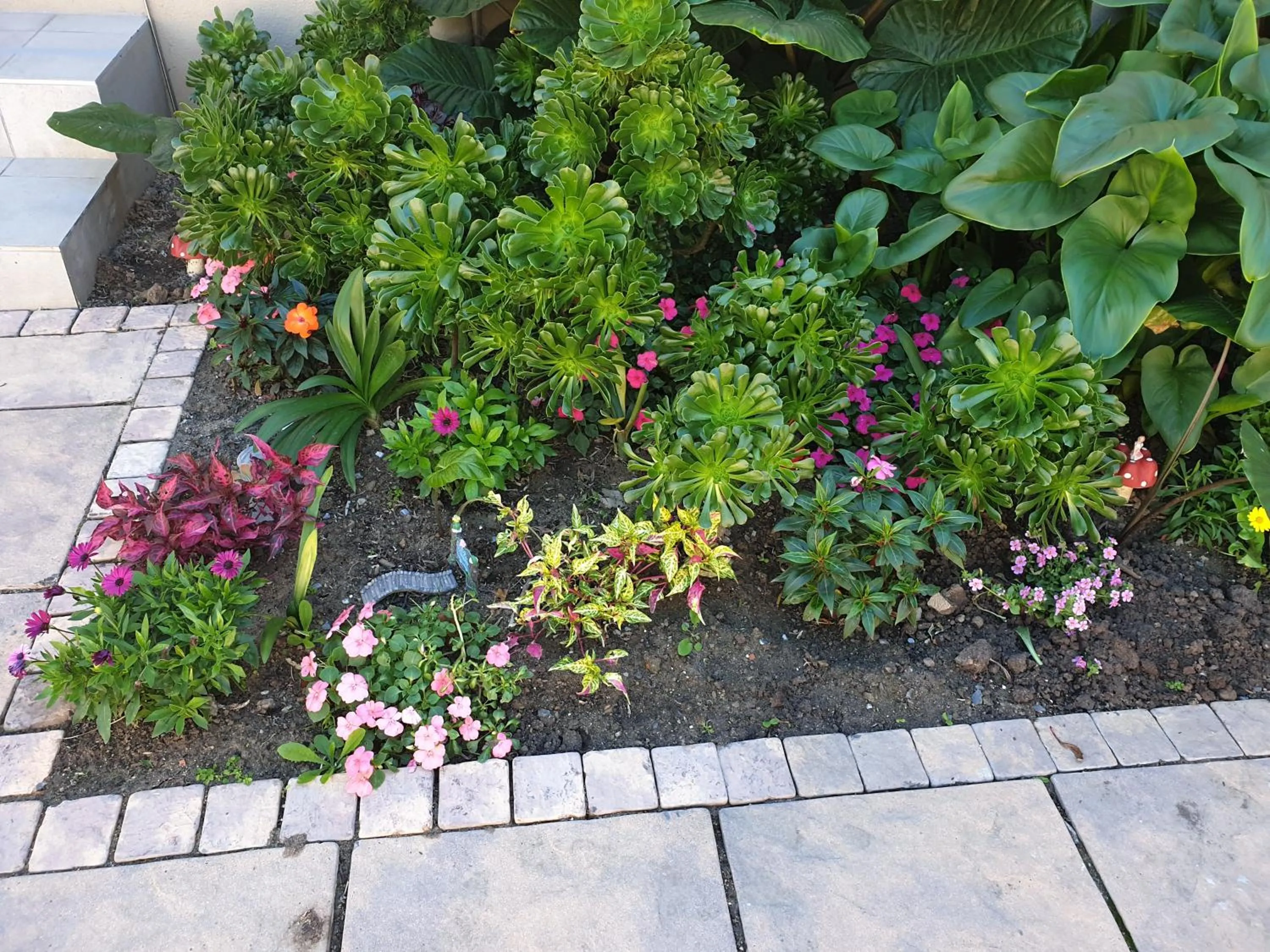 Garden in Dilisca Guesthouse