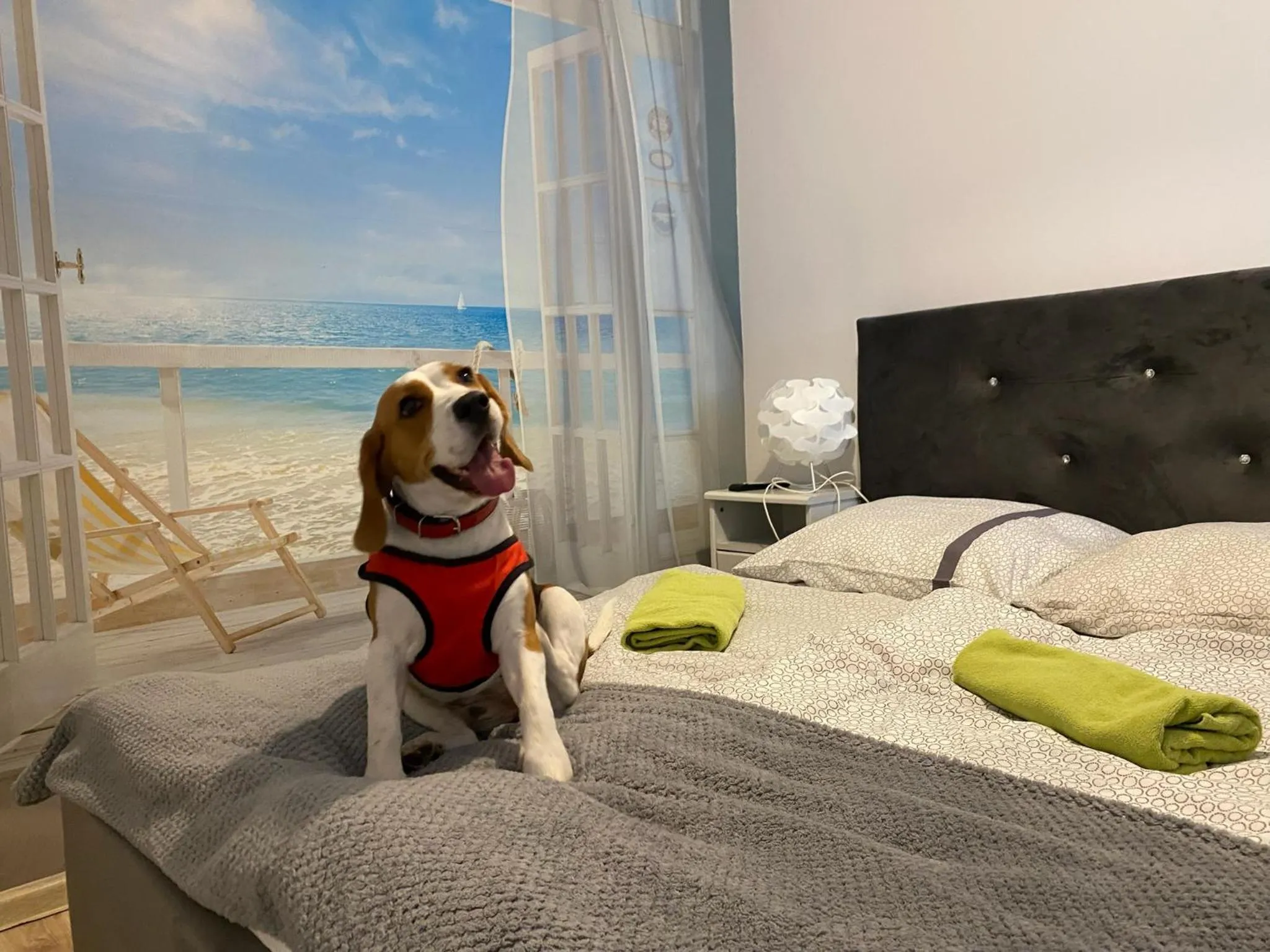 Bedroom, Bed in Hostel Przed Świtem