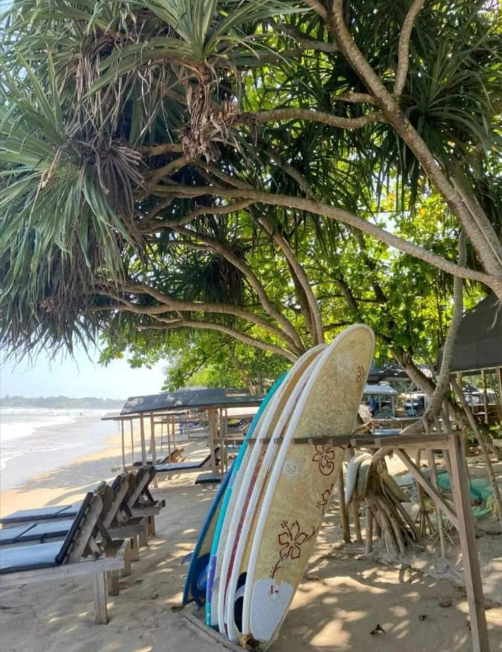 Beach in Hotel Blue Note