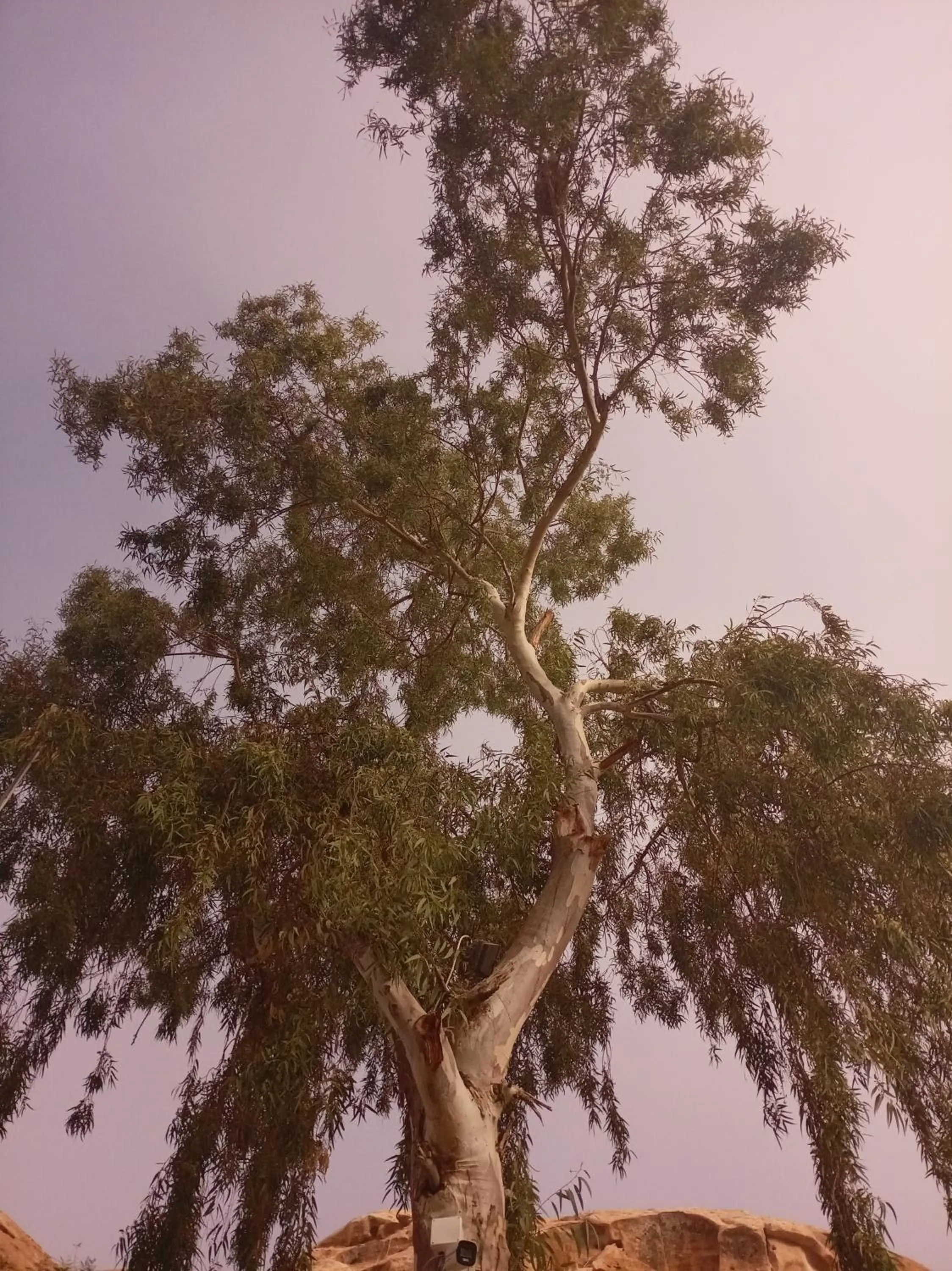 Natural landscape in Little Petra Bedouin Camp