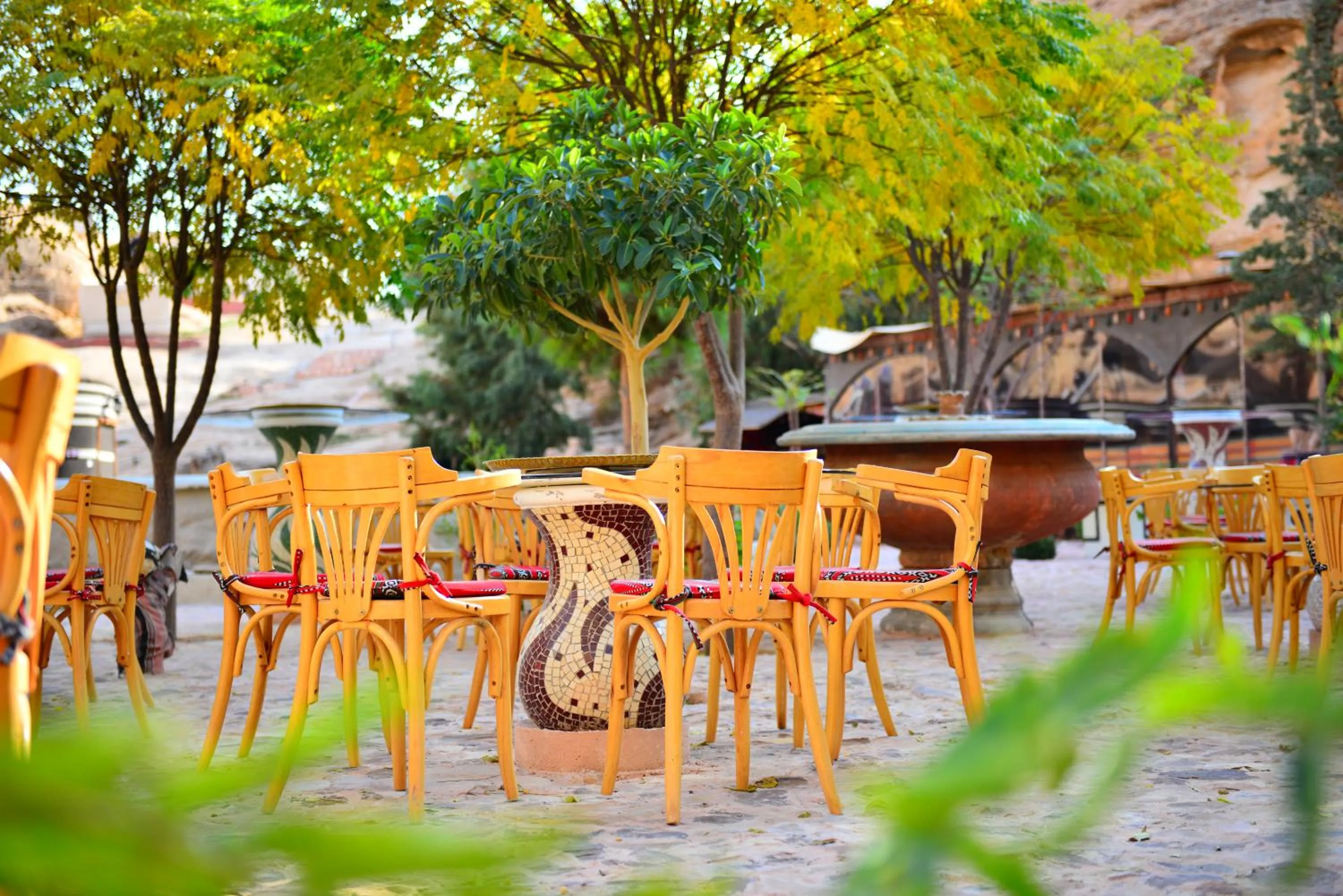 Spring in Little Petra Bedouin Camp