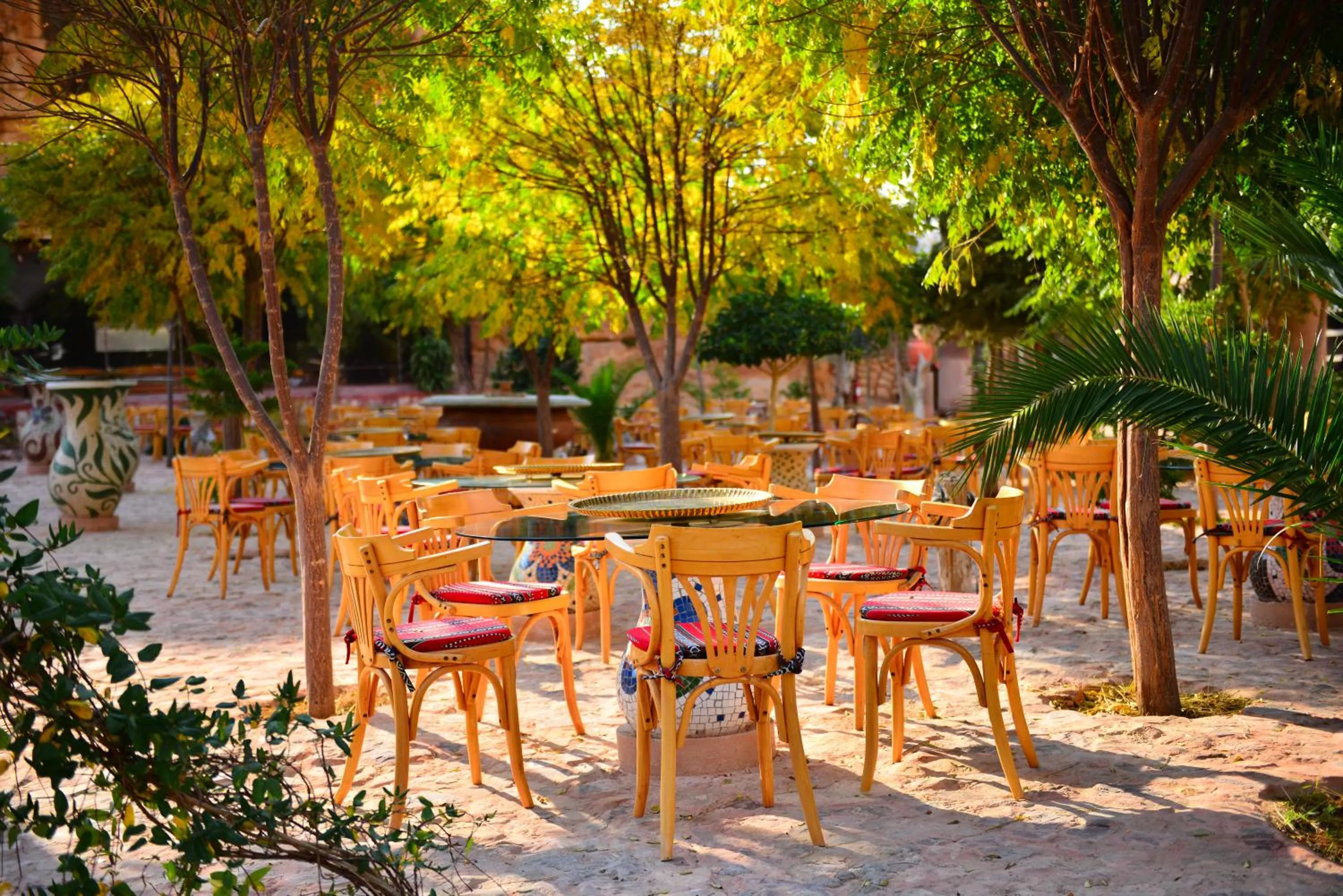 Restaurant/places to eat in Little Petra Bedouin Camp