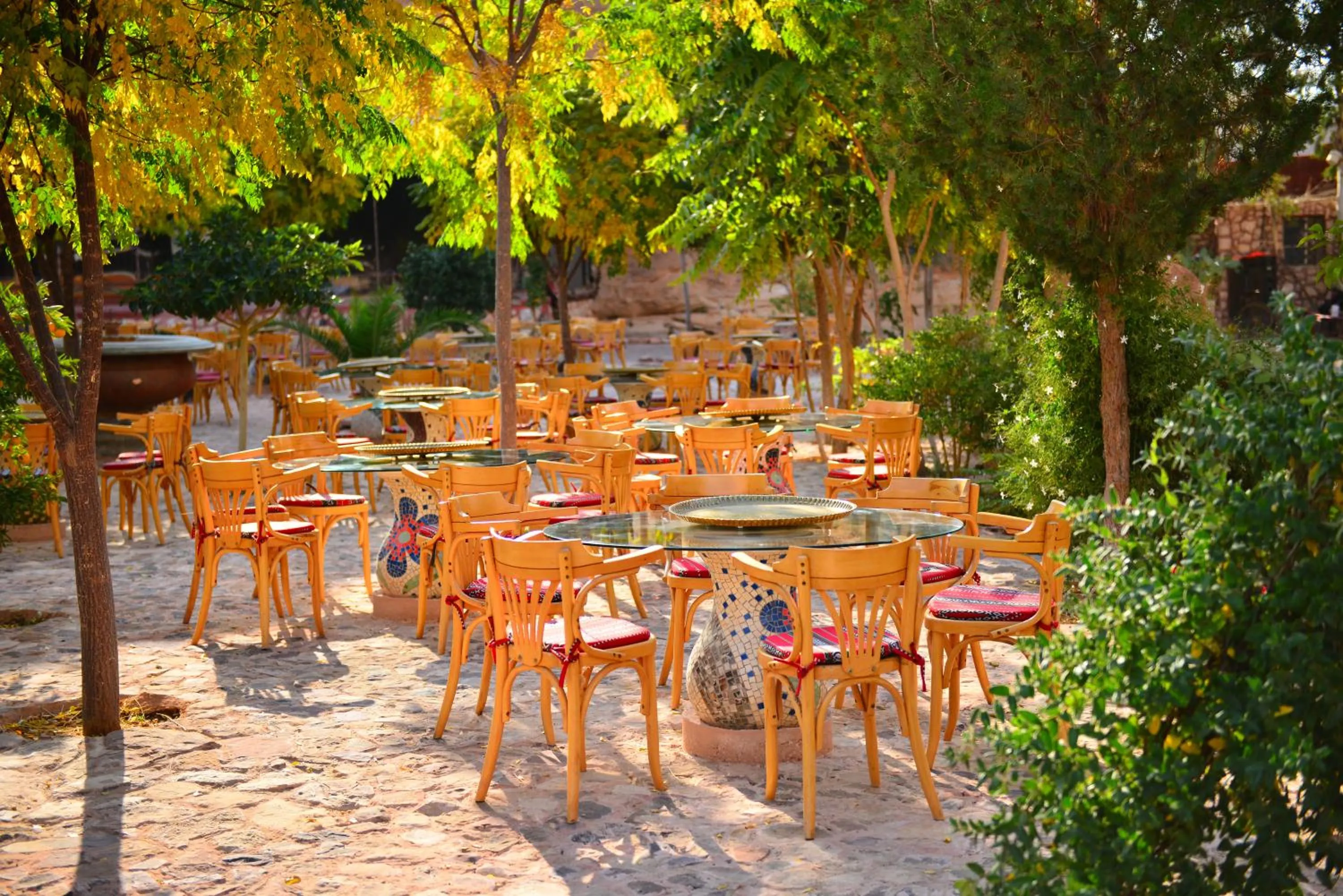 Restaurant/places to eat in Little Petra Bedouin Camp