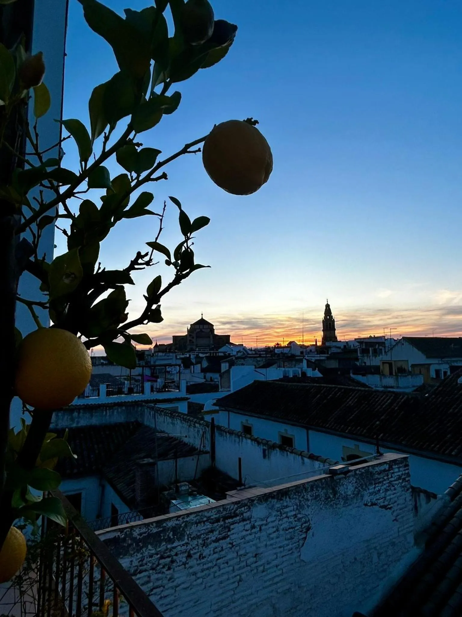 Sunset in Hotel Madinat