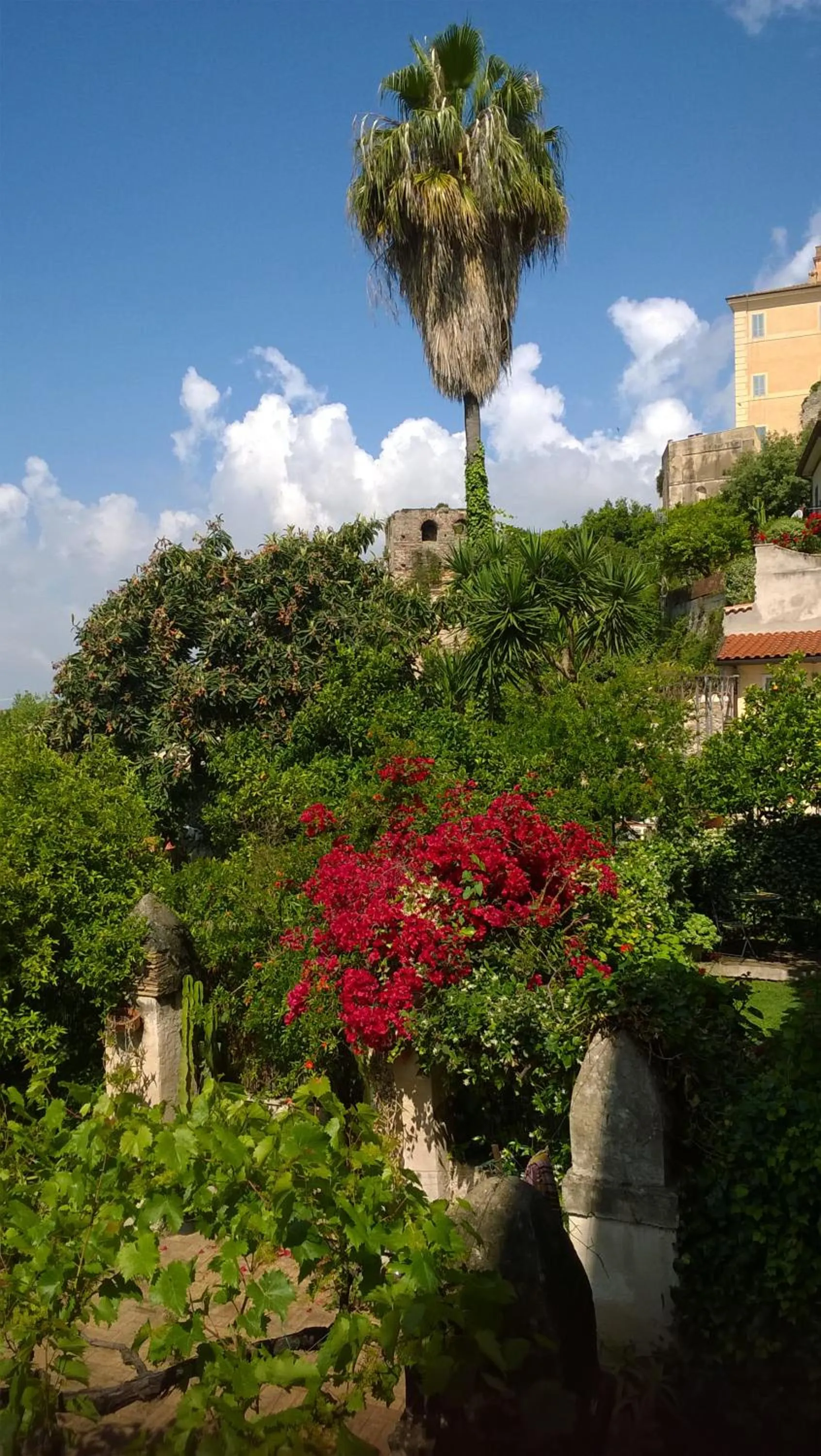 Garden view in Angelina Antica Dimora