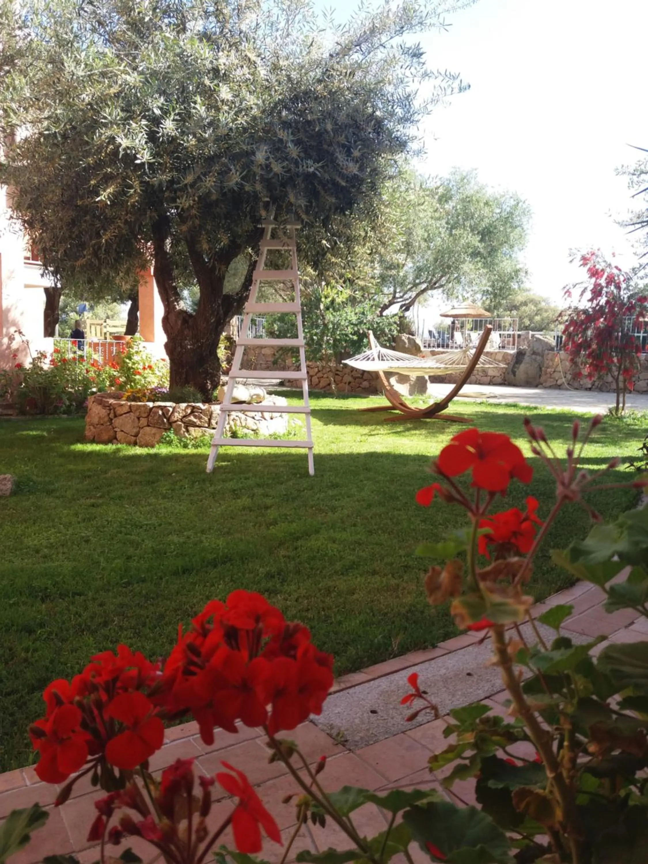 Property building in I Ginepri Hotel