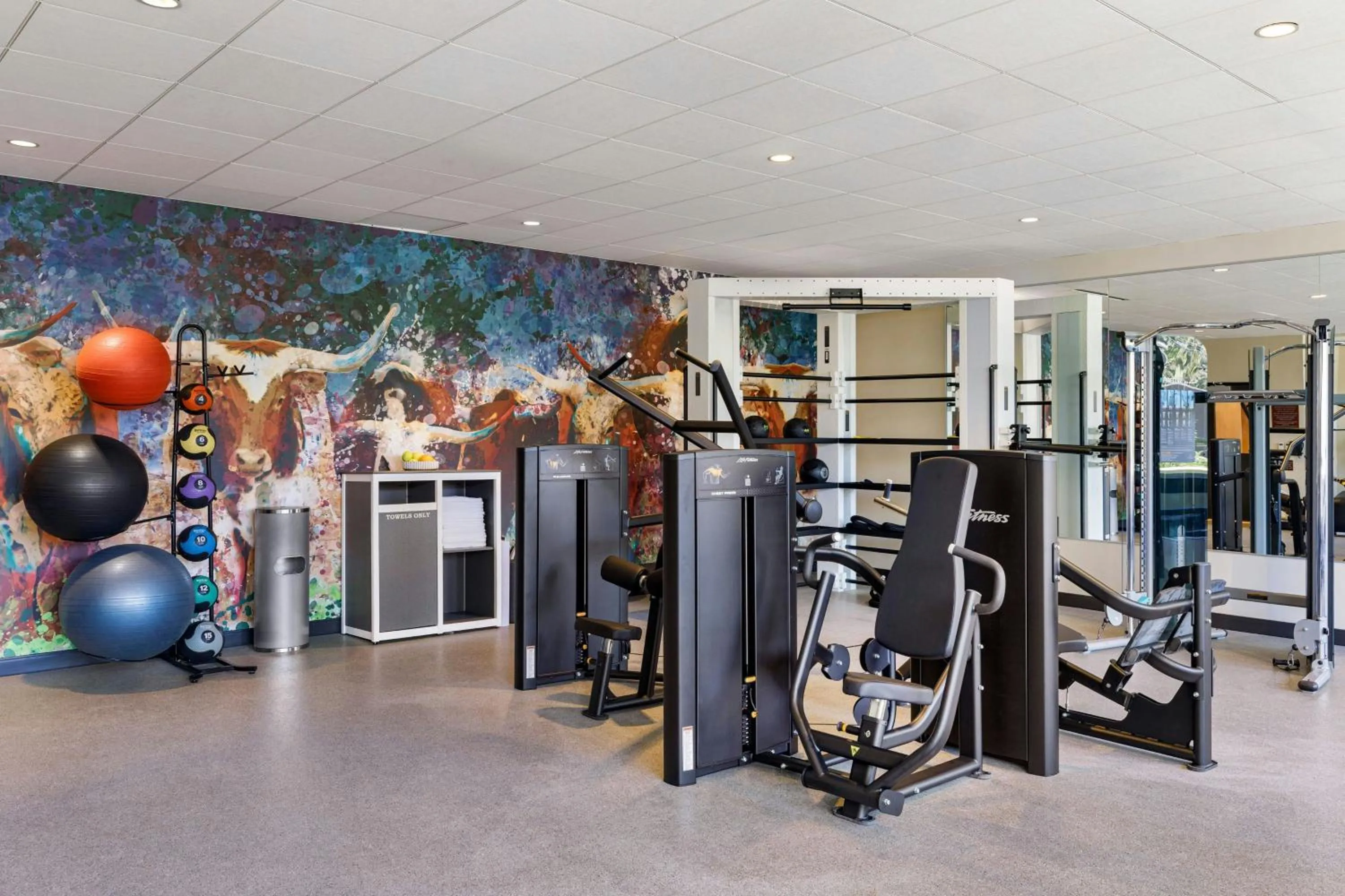 Fitness centre/facilities in The Elmore Hotel, DFW Southlake, a Tribute Portfolio Hotel