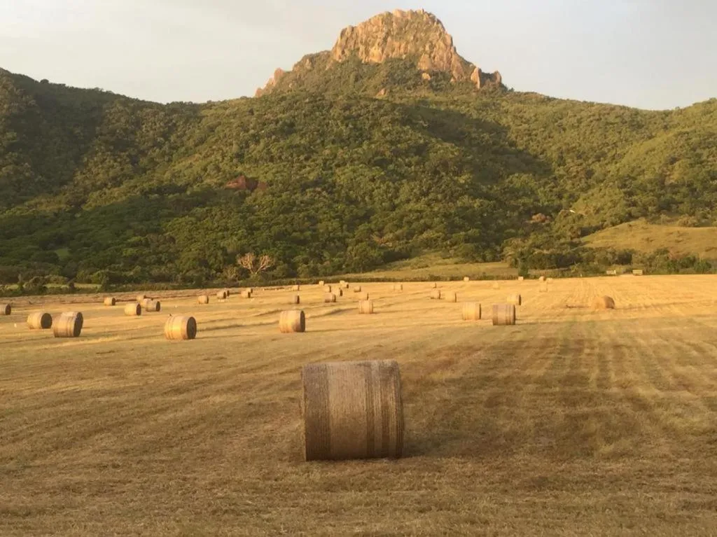 Natural landscape in Island on the Sea