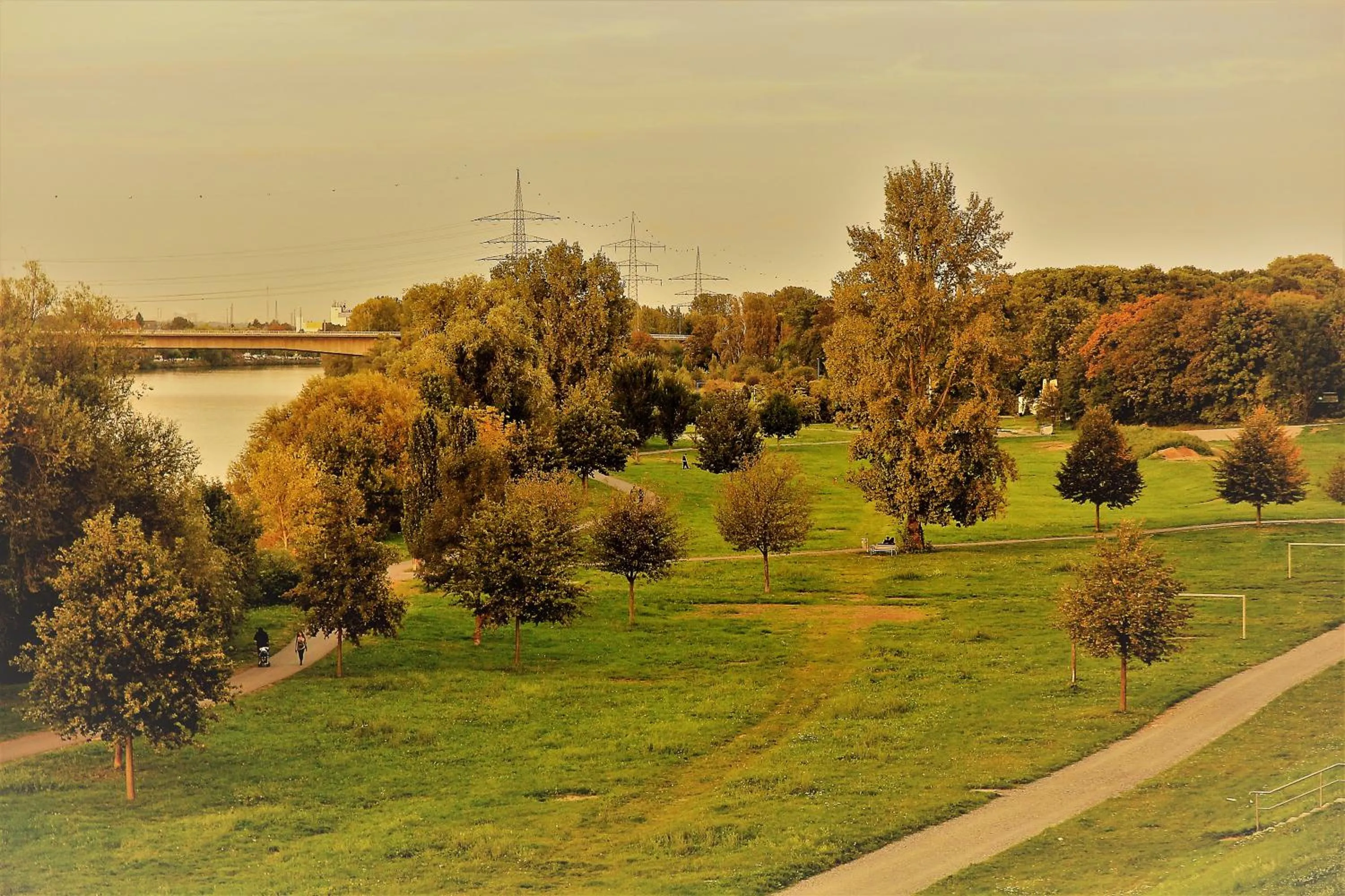 Natural landscape in Höll am Main