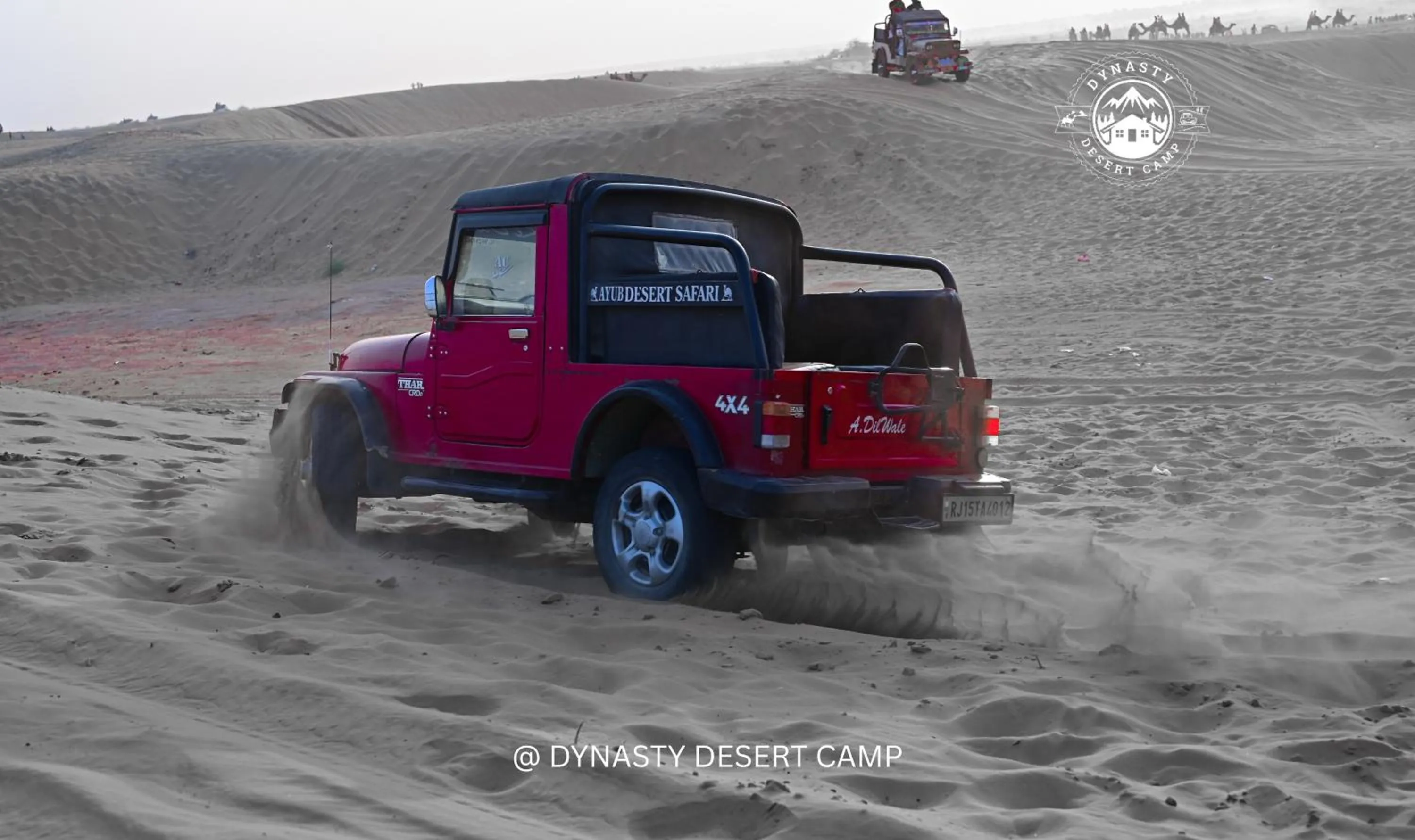 Dynasty Desert Camp and Resort