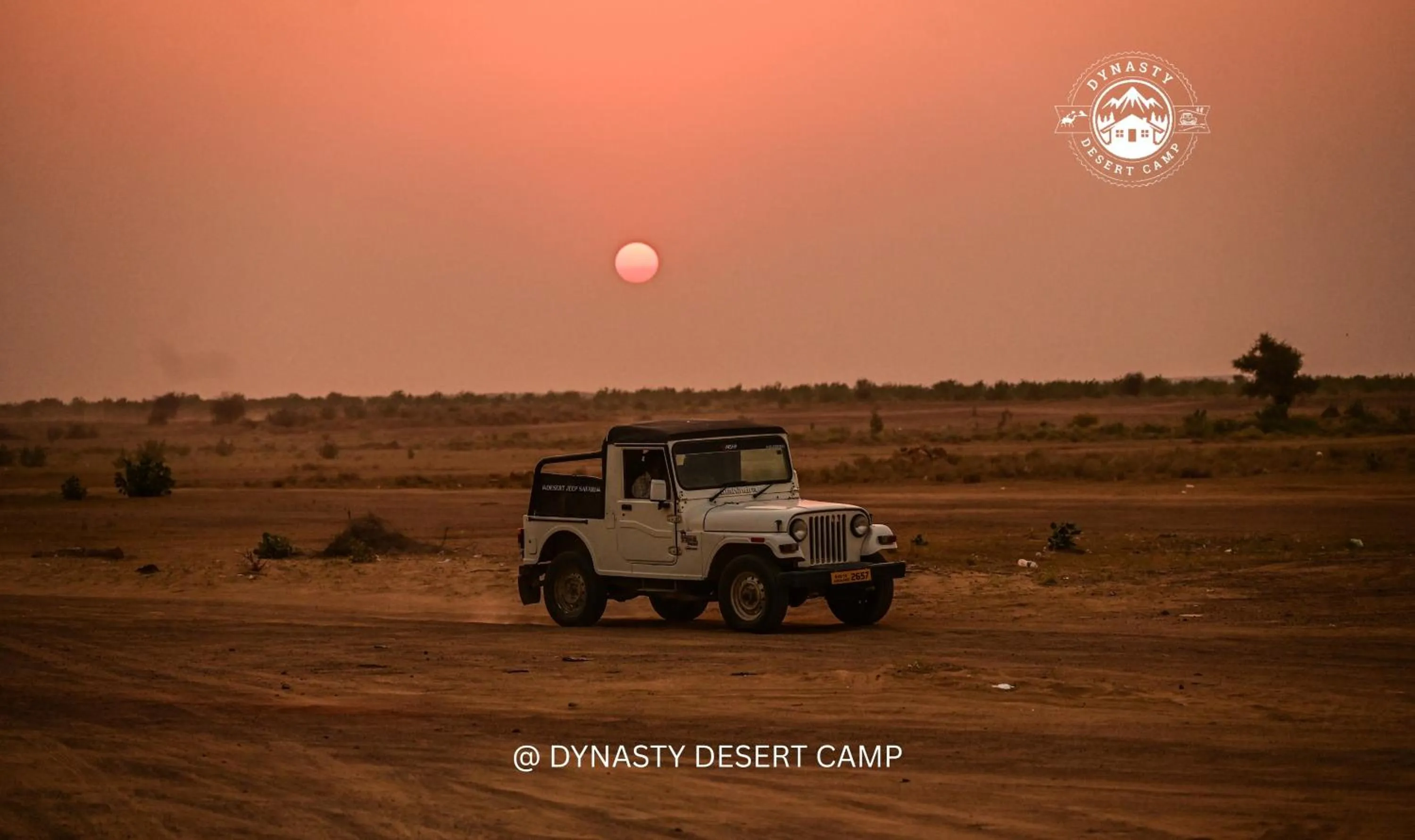 Dynasty Desert Camp and Resort