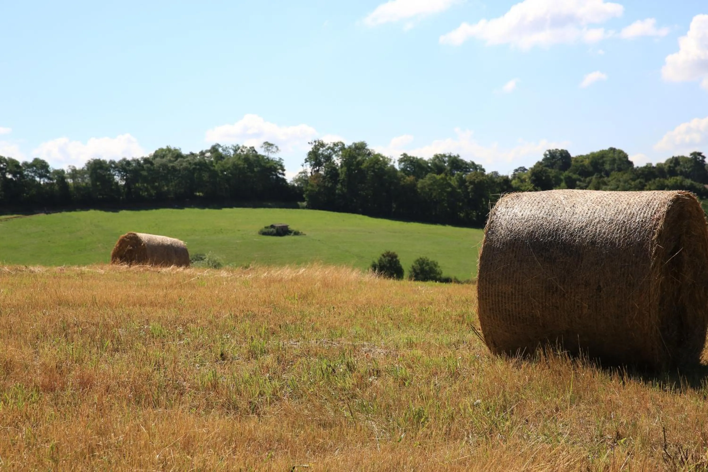 Natural landscape in Maison Cube