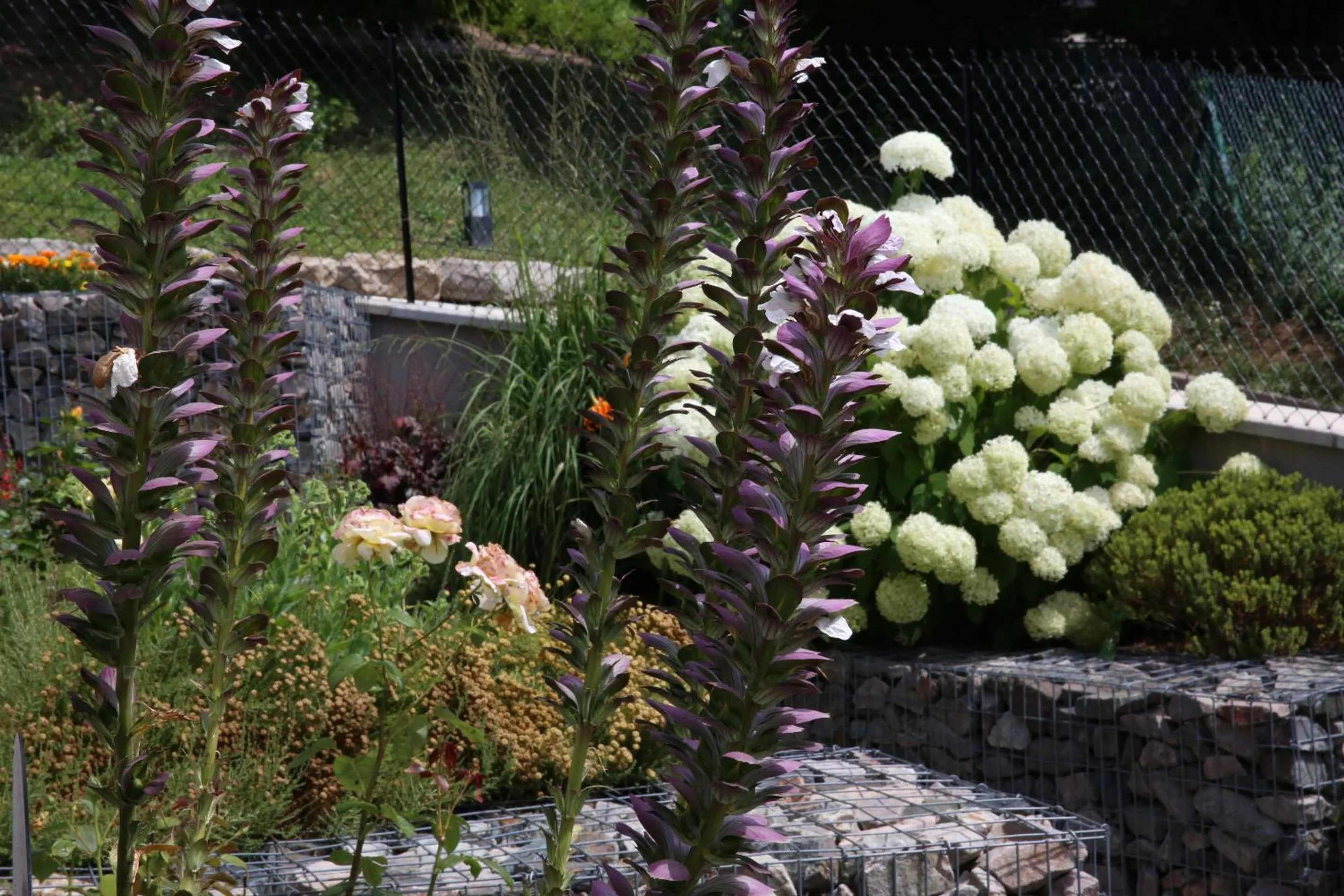 Garden in Maison Cube