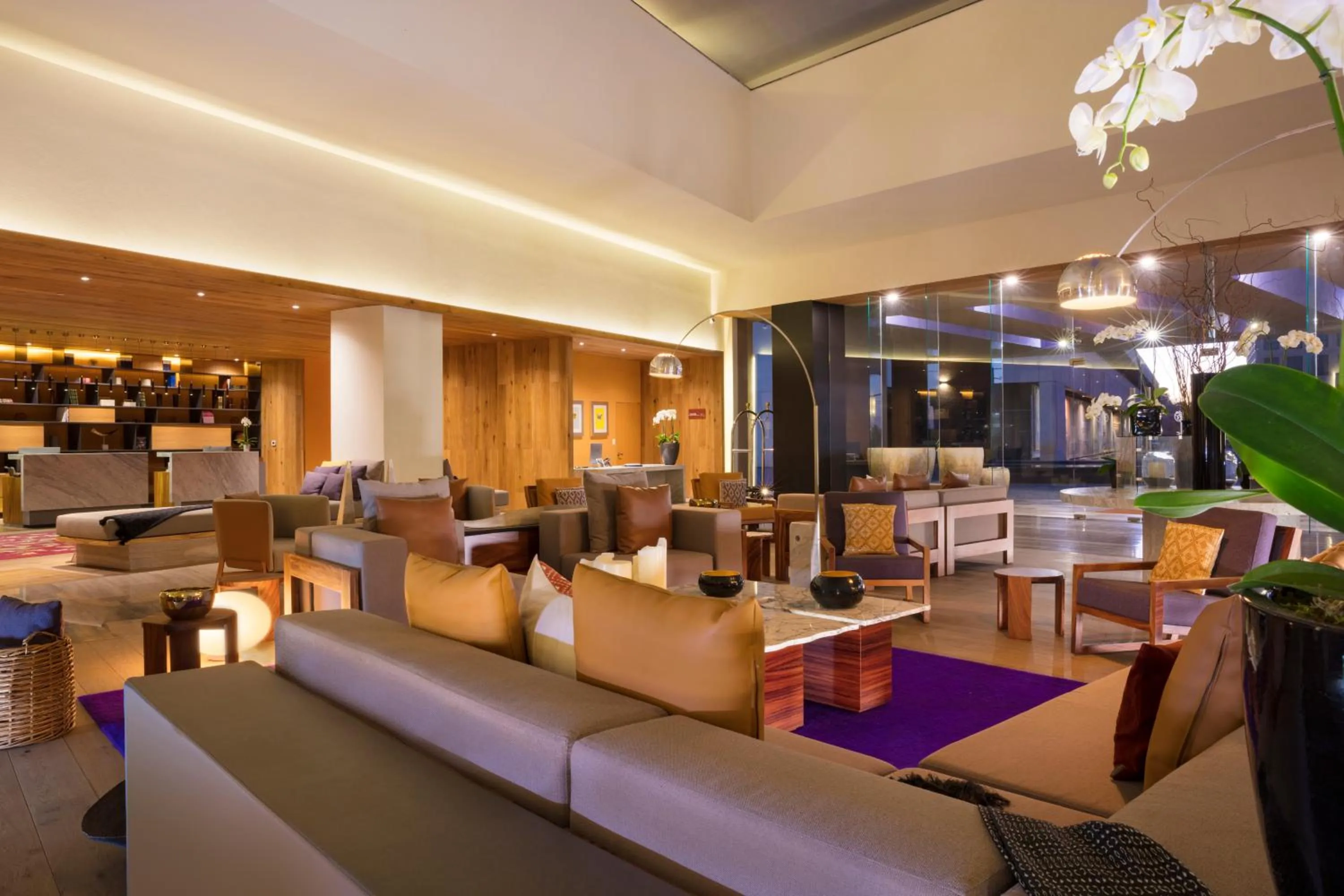 Lobby or reception in Hyatt Centric Campestre Leon