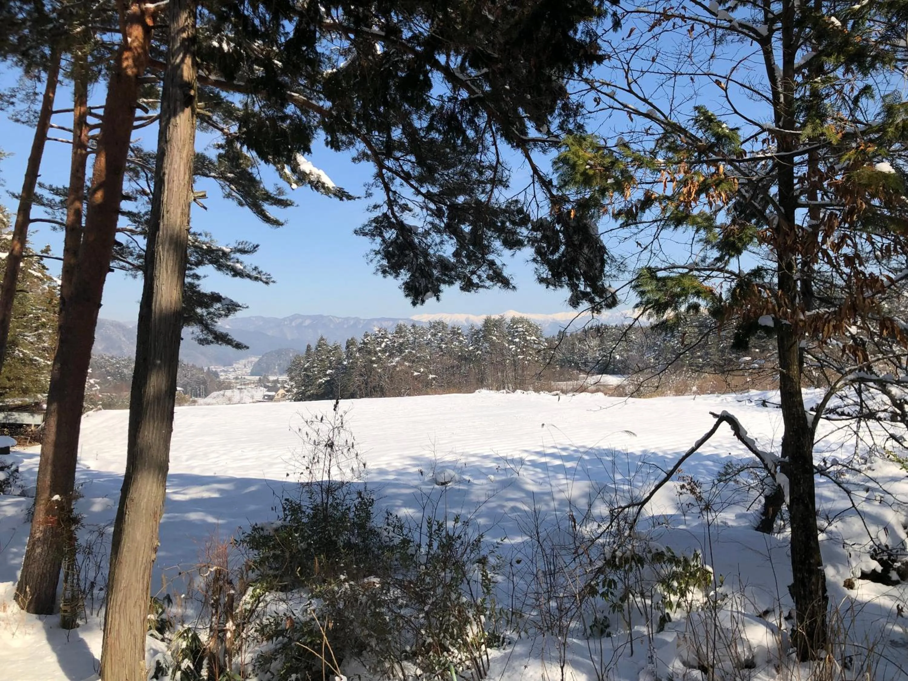 Pension Good Luck Takayama