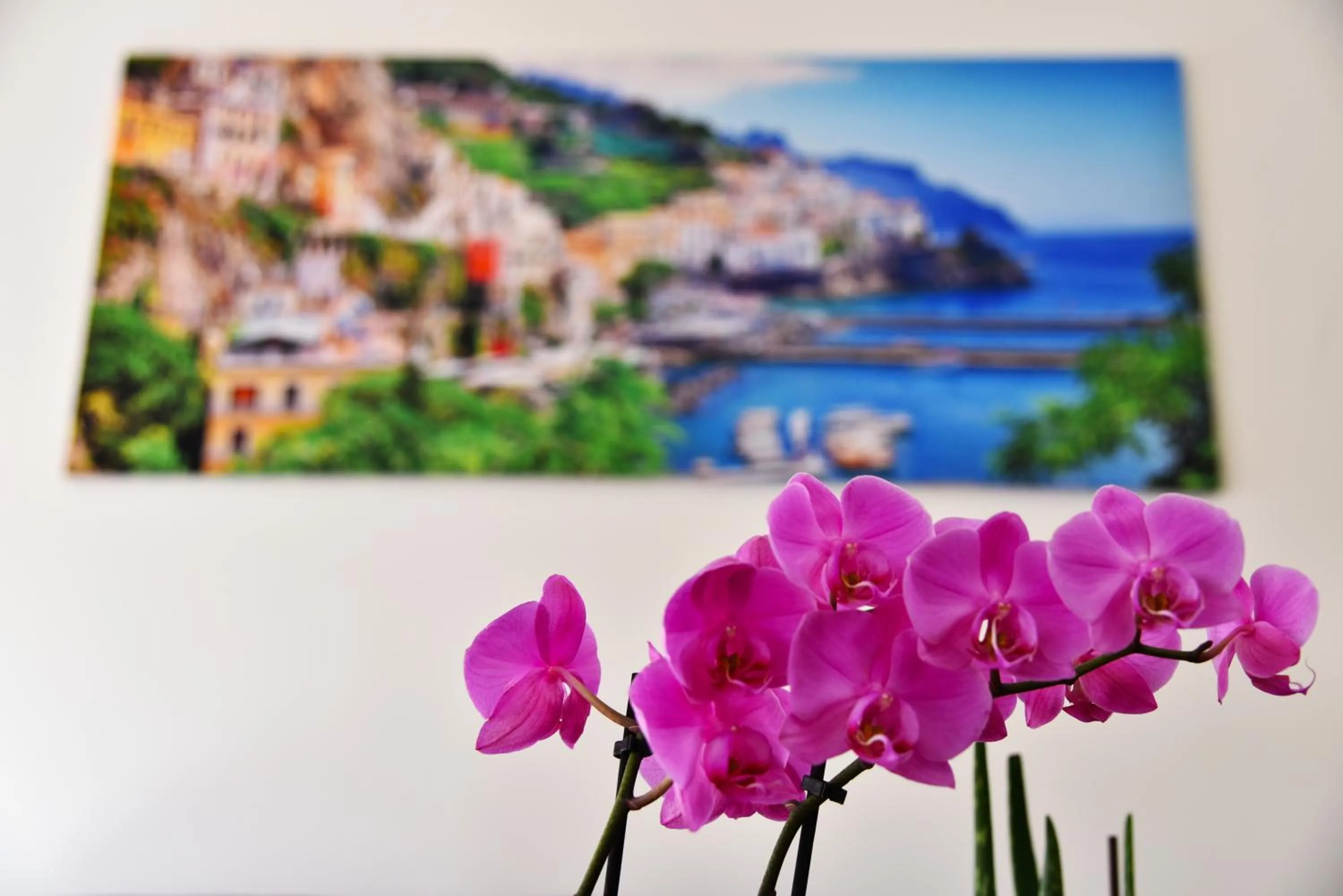 Lobby or reception in B&B Amalfi Coast Salerno