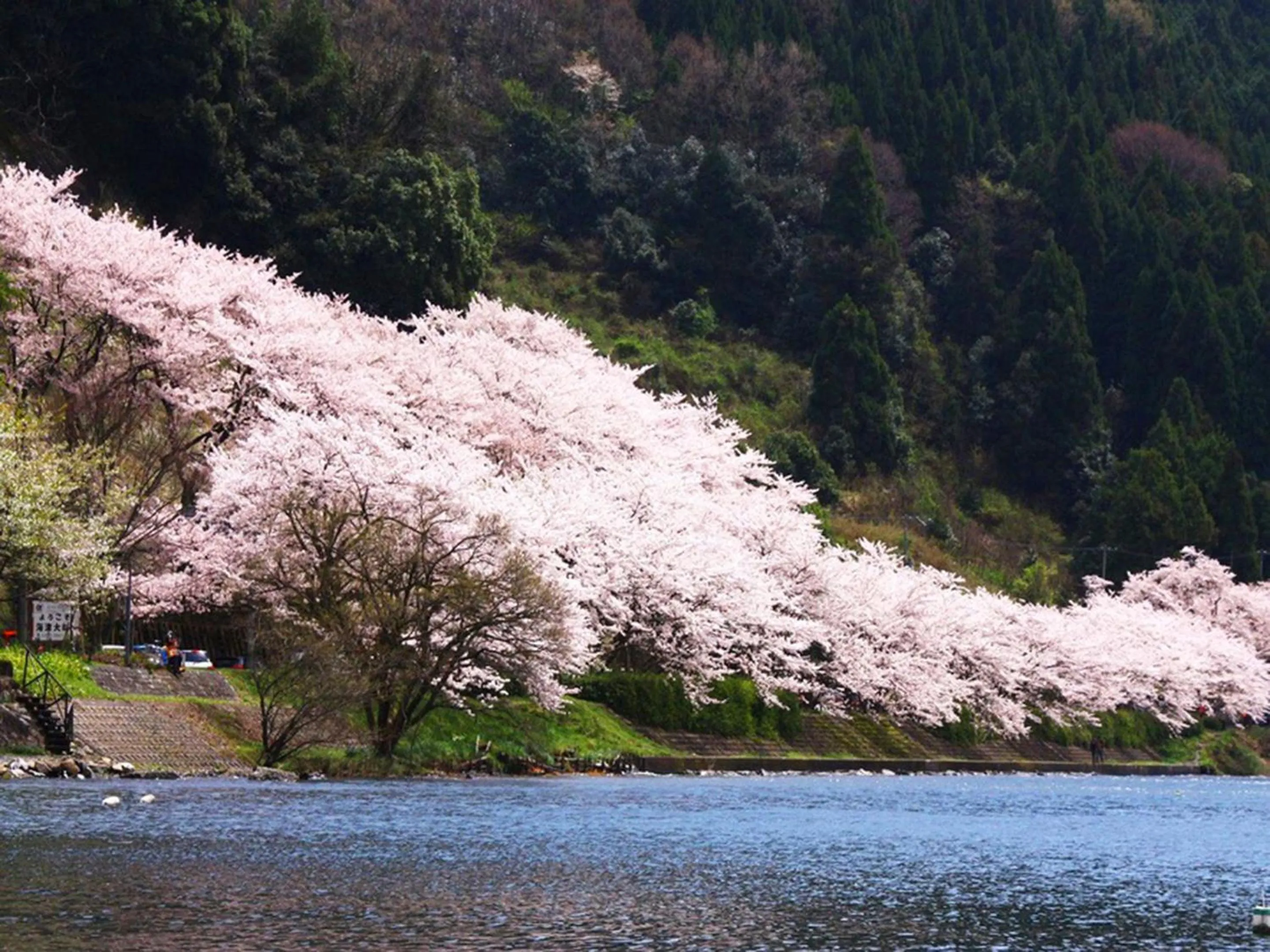 Nearby landmark in Racine Home Harie