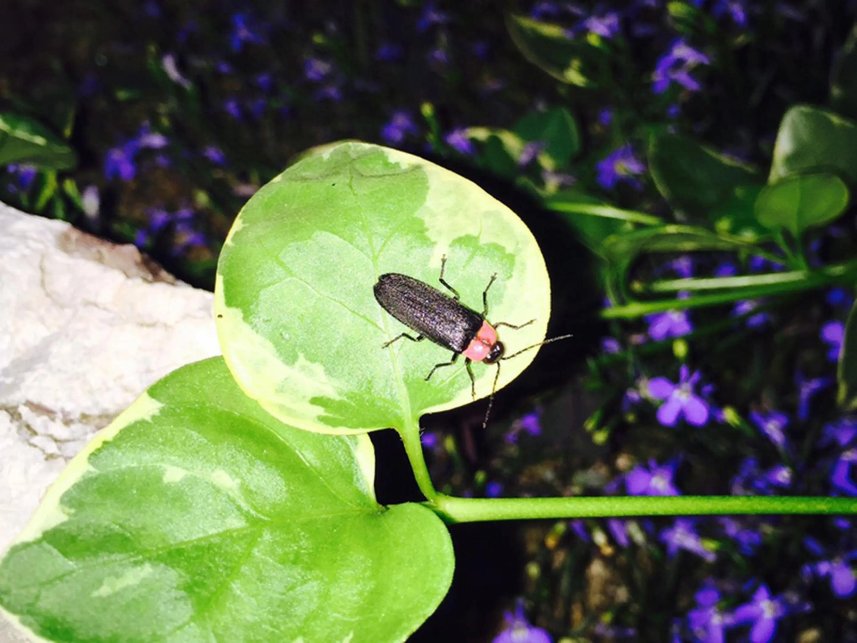 Off site in Racine Home Harie