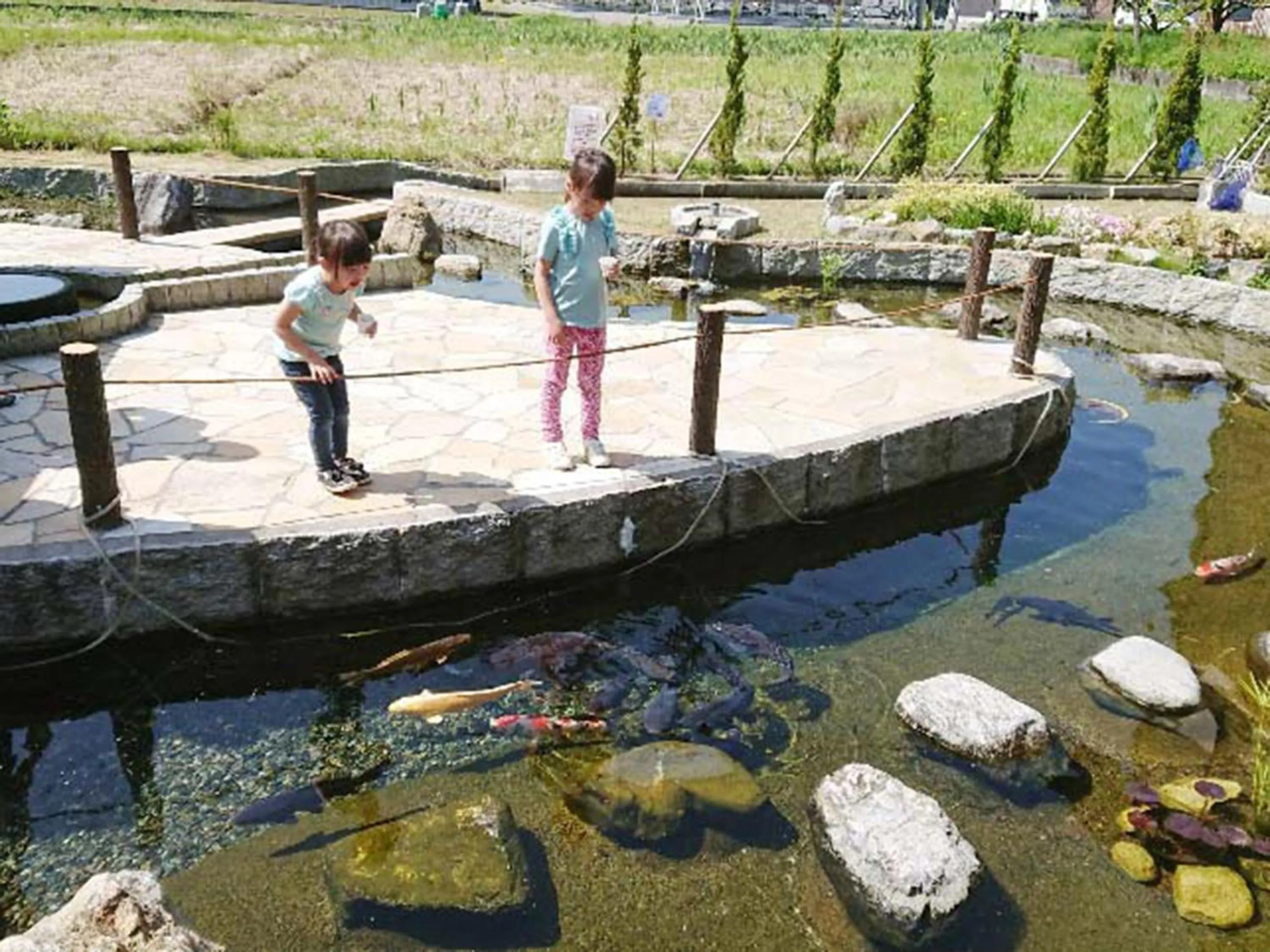 Area and facilities in Racine Home Harie