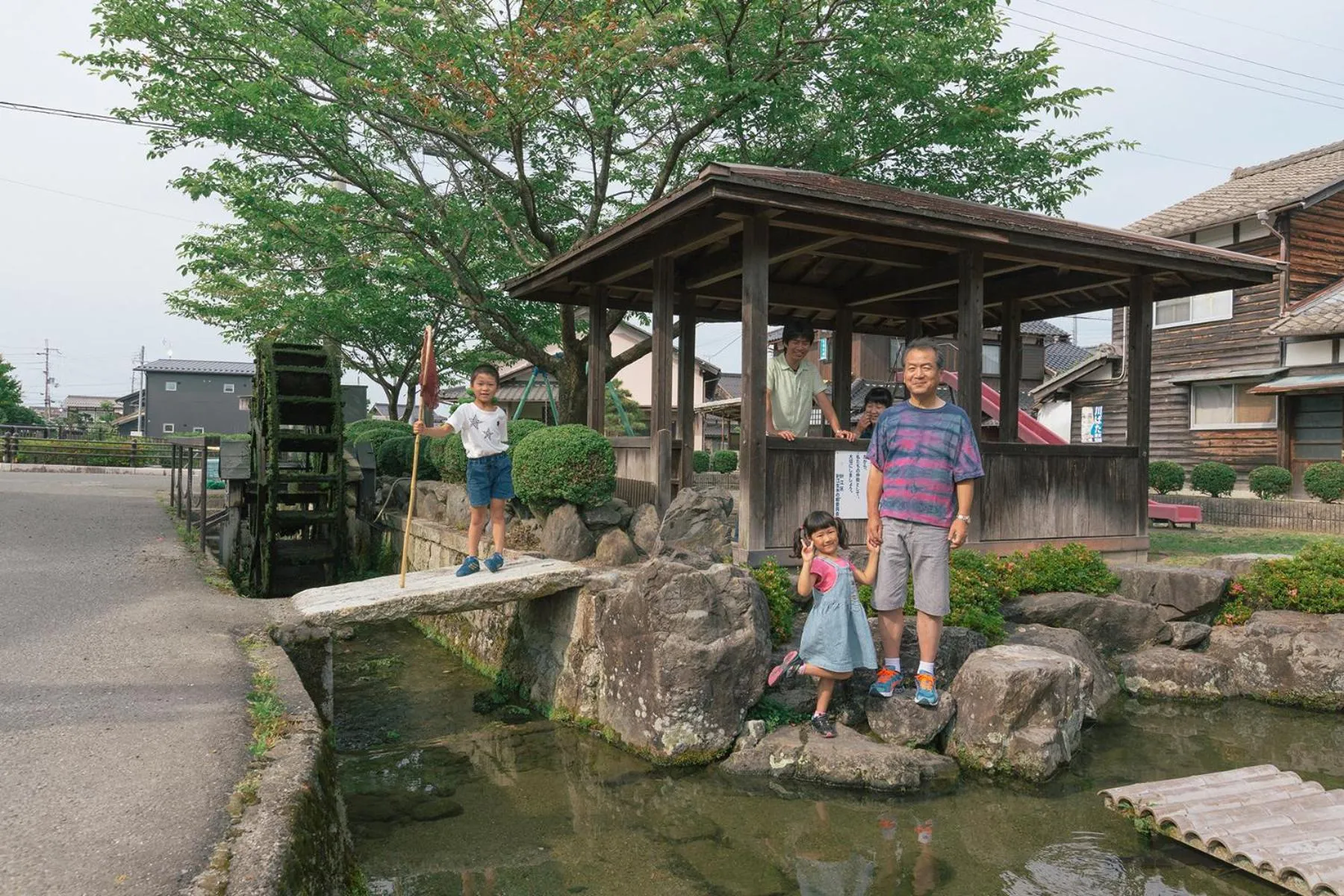 Natural landscape in Racine Home Harie