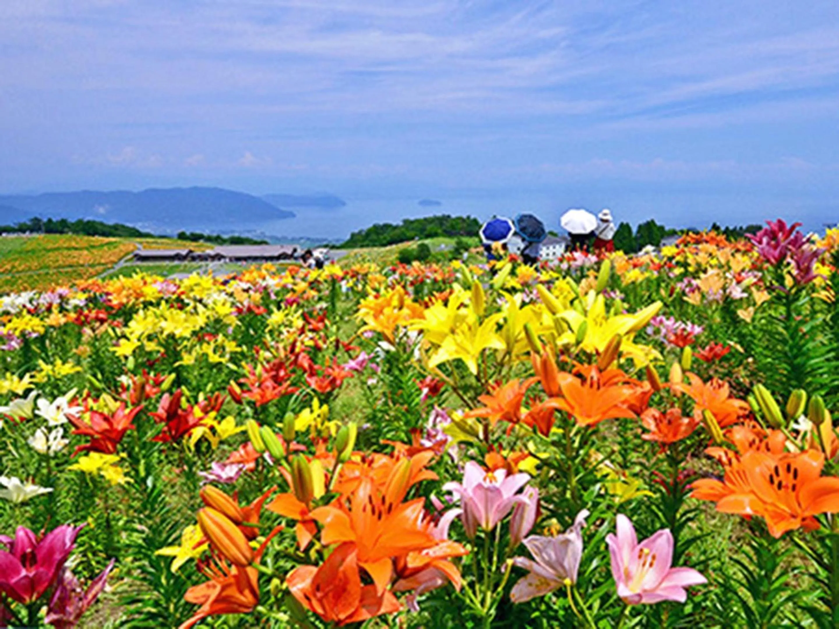 Nearby landmark in Racine Home Harie
