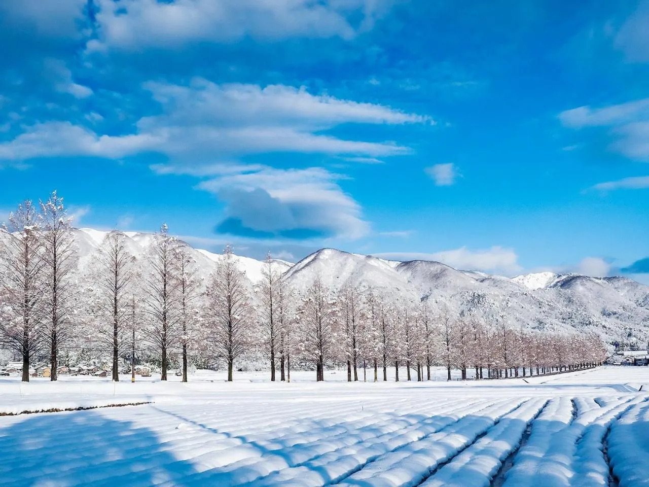 Nearby landmark in Racine Home Harie