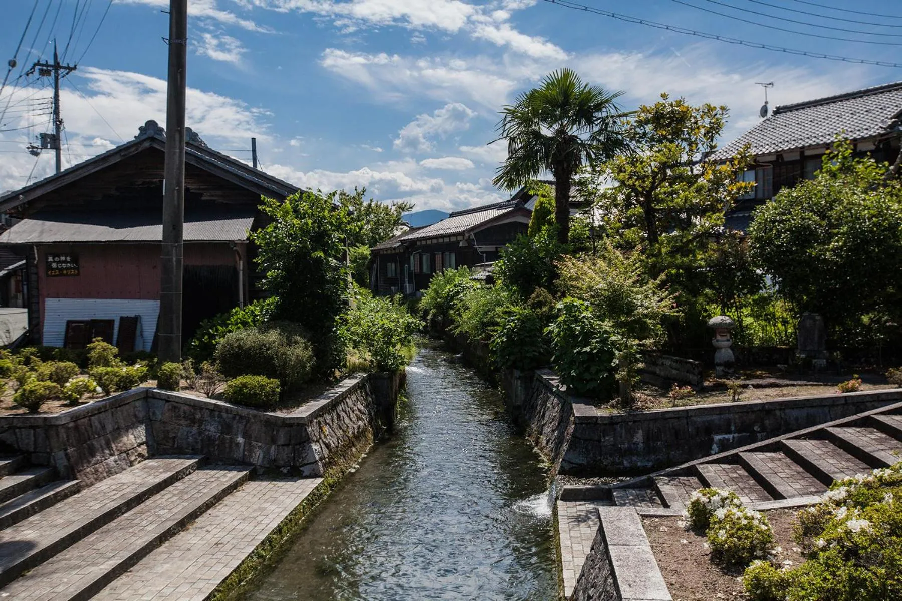 Natural landscape in Racine Home Harie