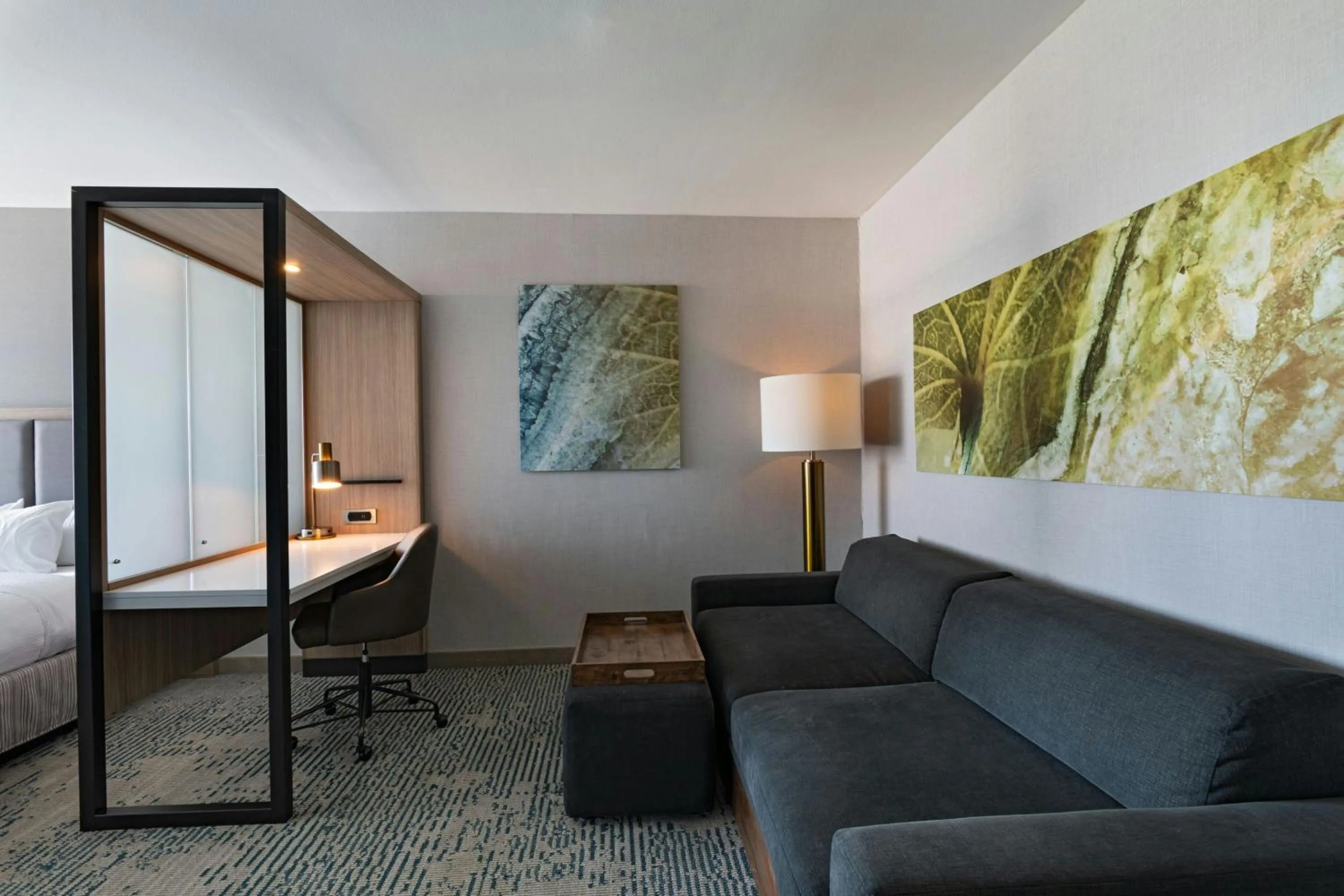 Living room, Bed in SpringHill Suites by Marriott Austin Cedar Park