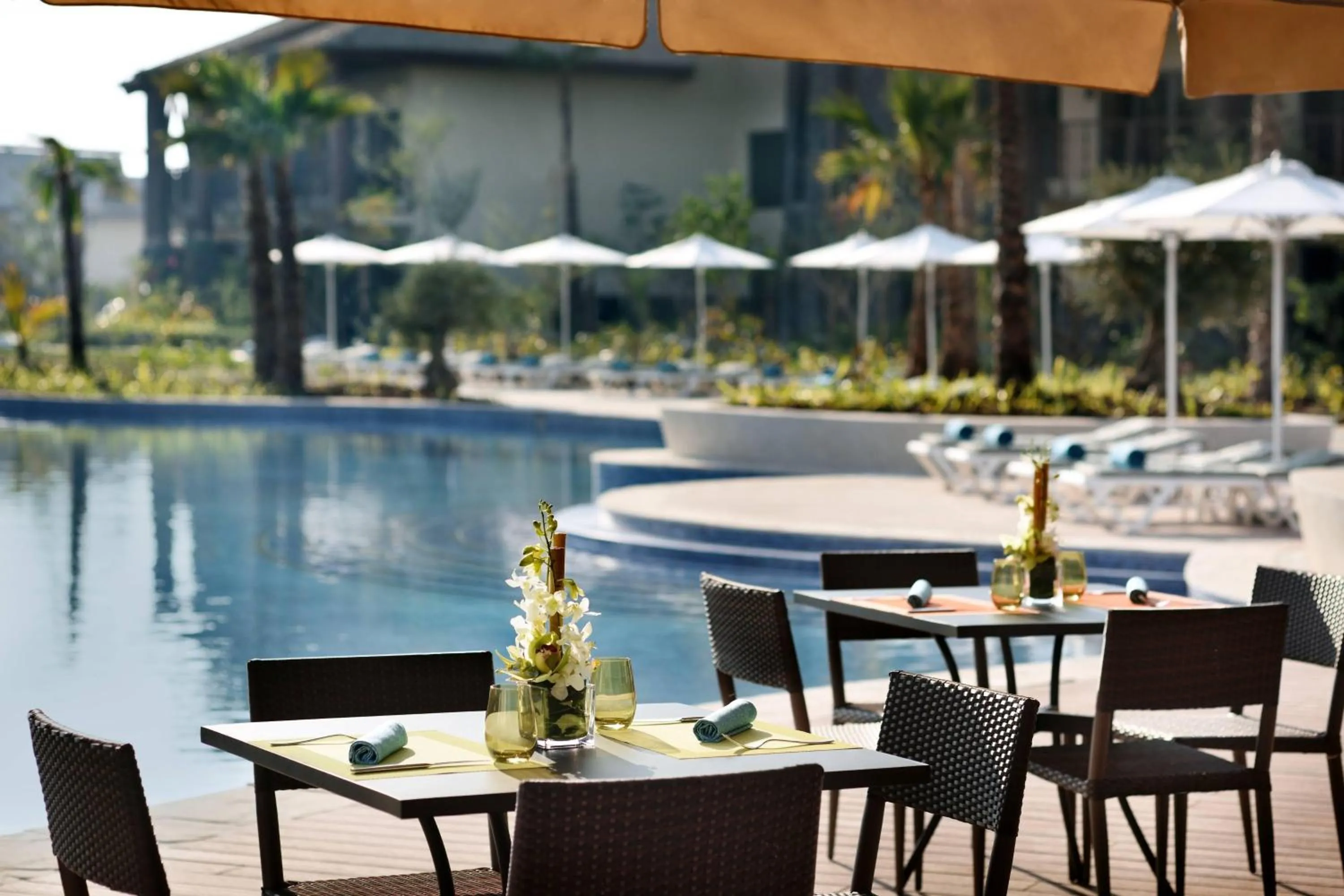 Restaurant/places to eat in Lapita, Dubai Parks and Resorts, Autograph Collection