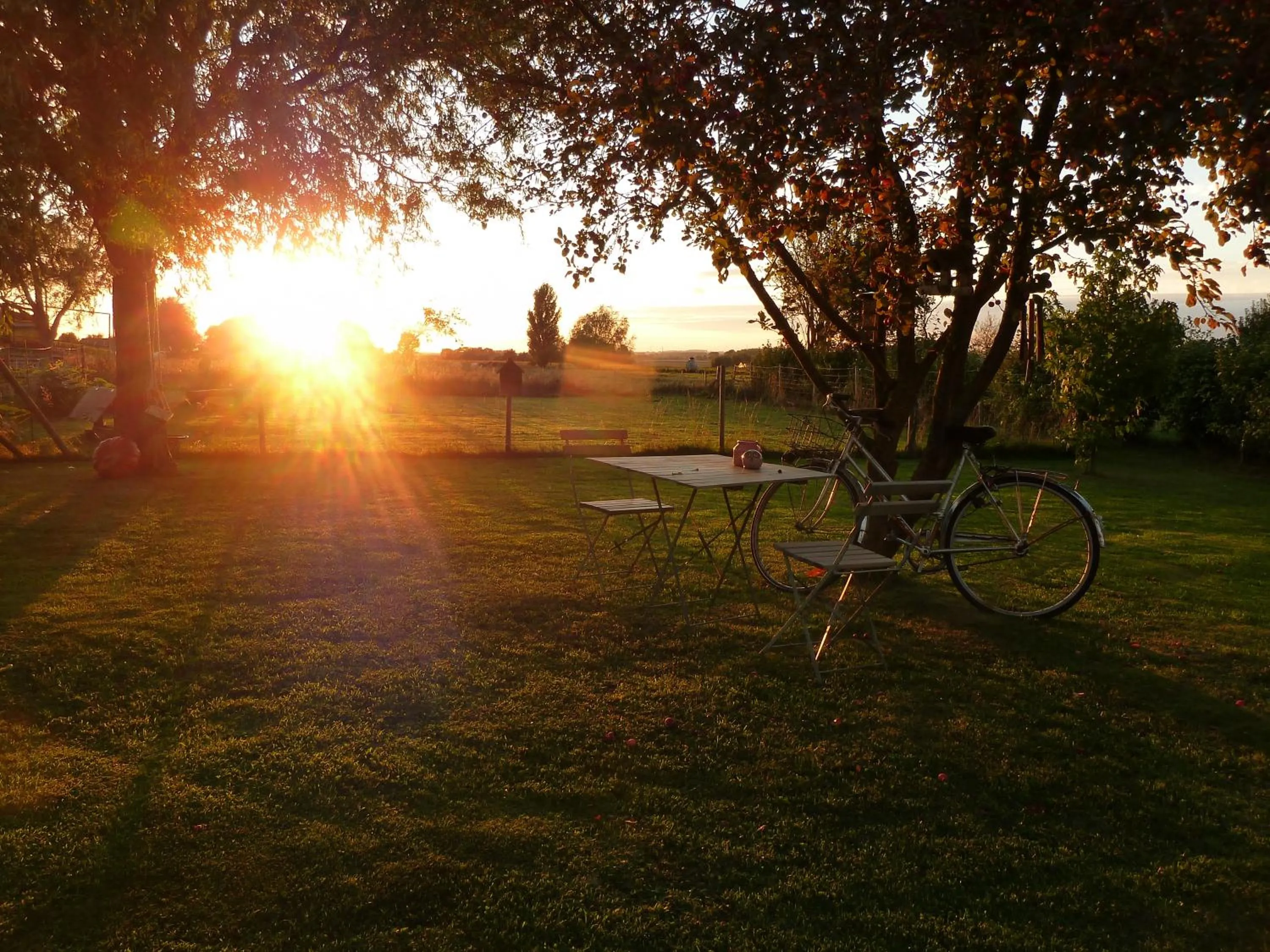 Garden view in Entre monts et collines B&B et spa en option