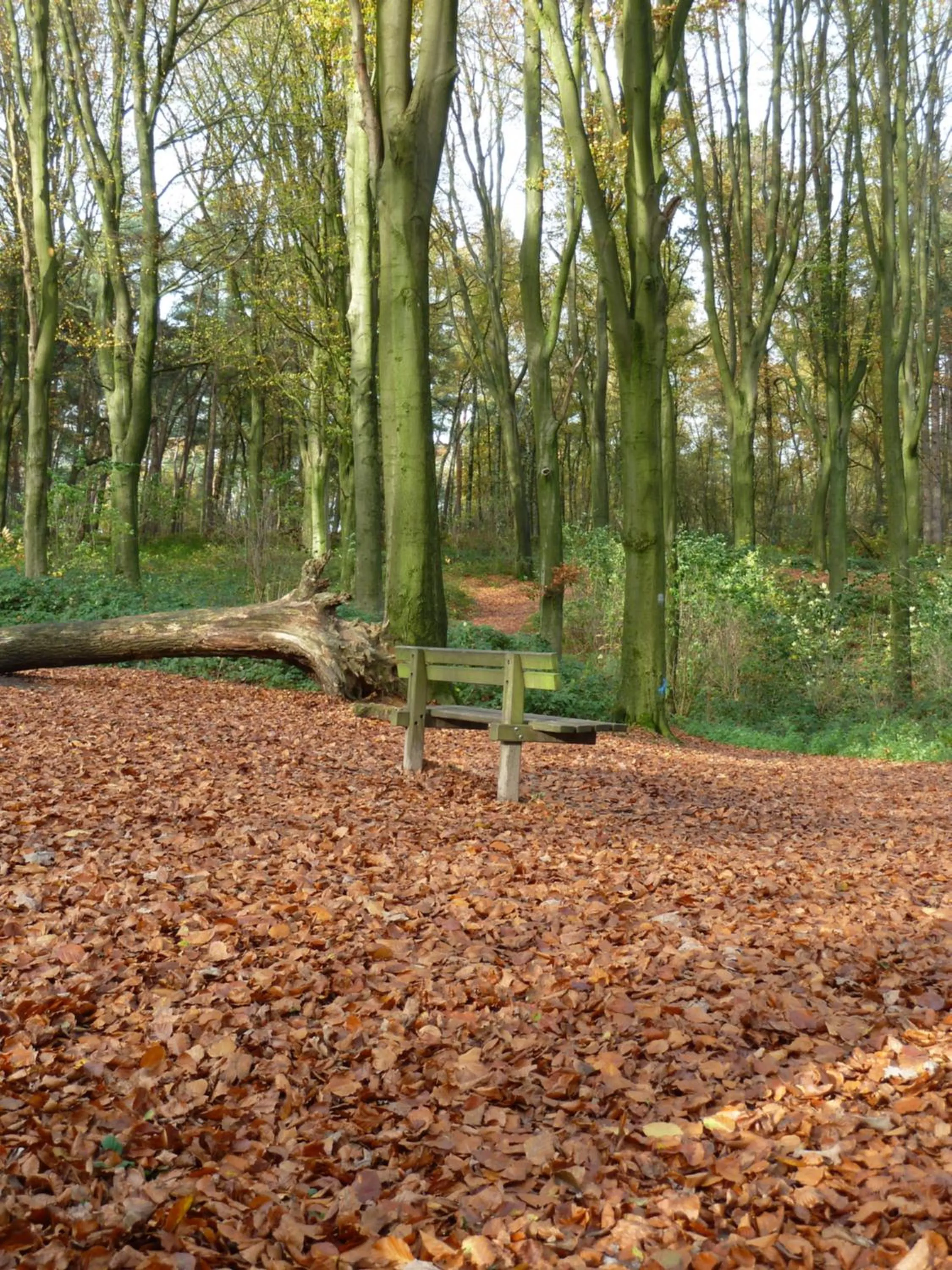 Off site in Entre monts et collines B&B et spa en option