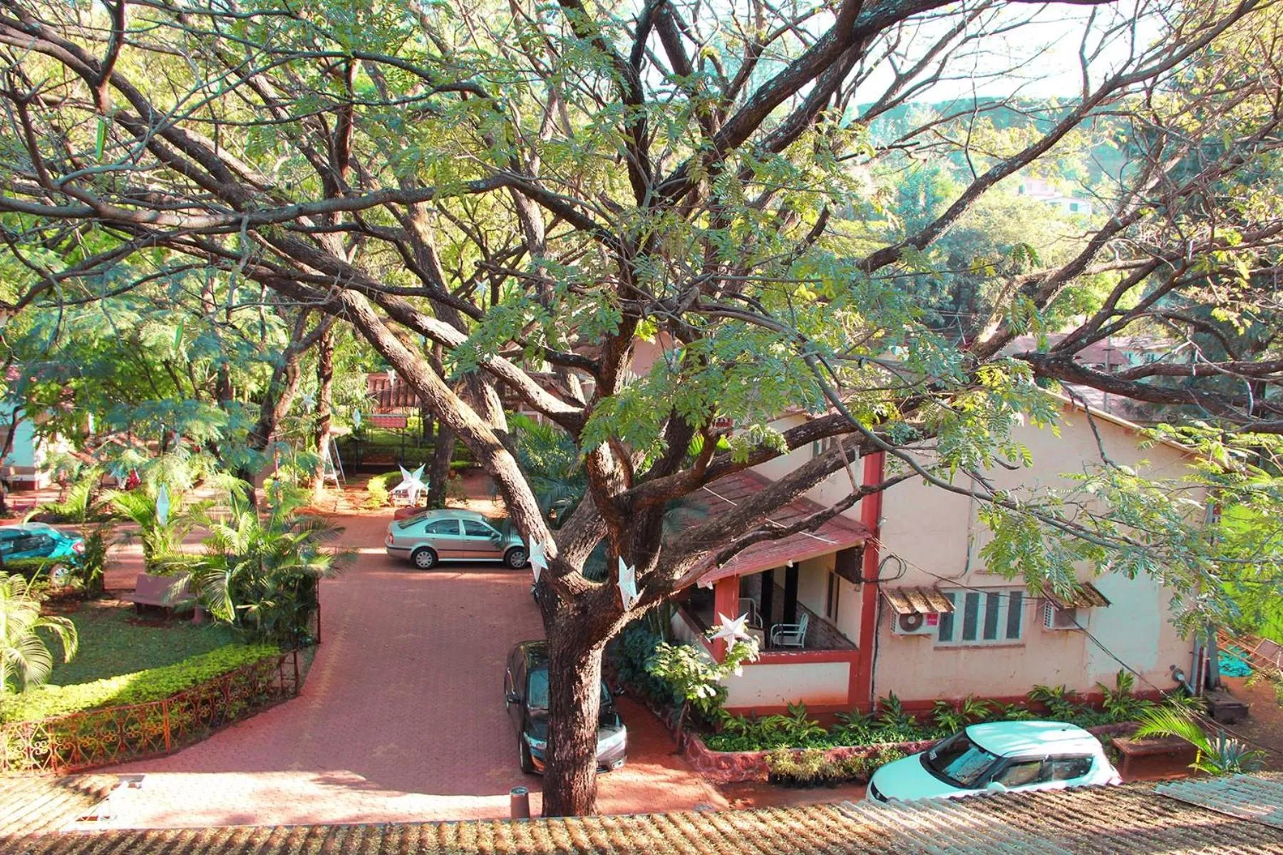 Natural landscape in Hotel Malas