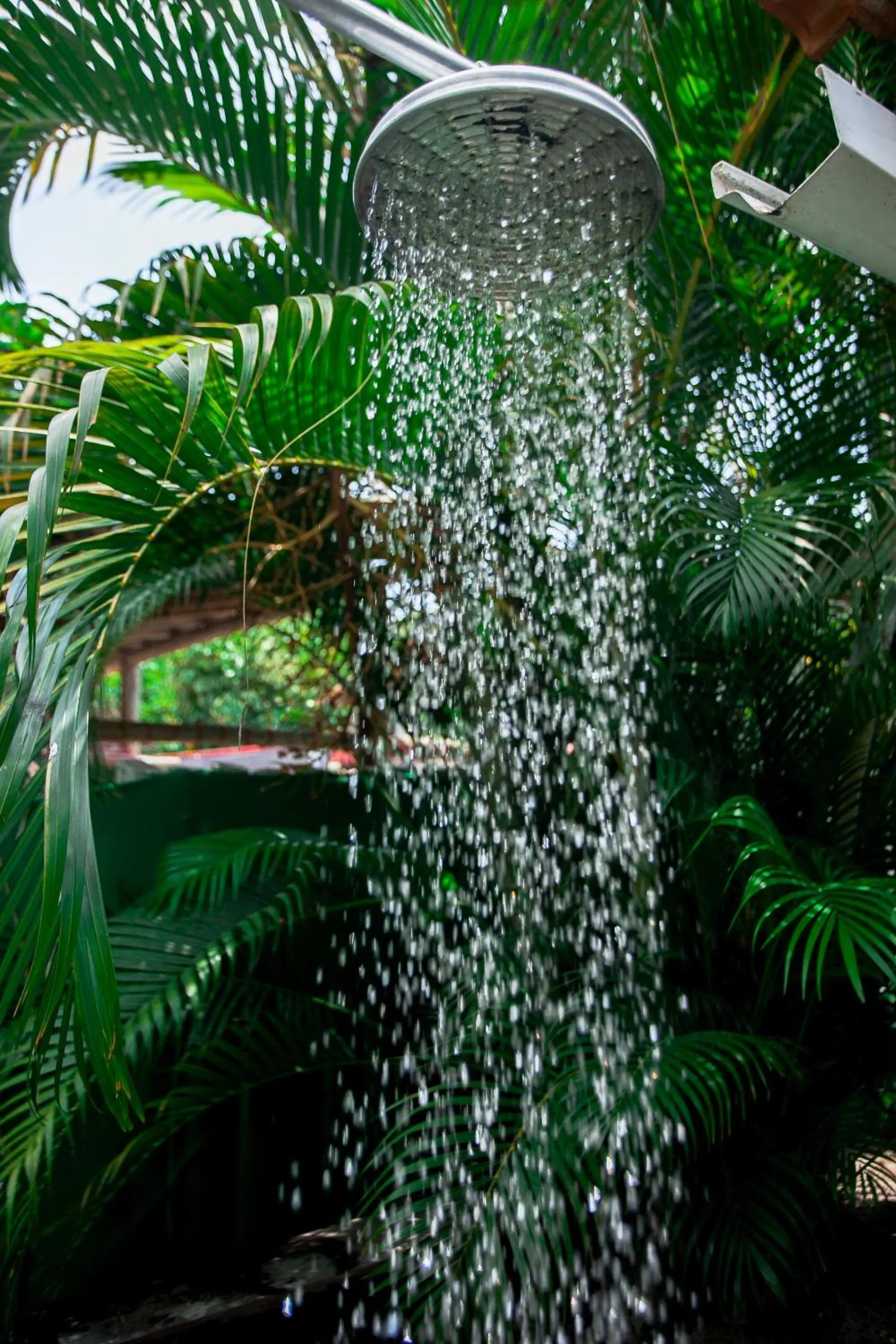 Natural landscape in Pousada Lumar